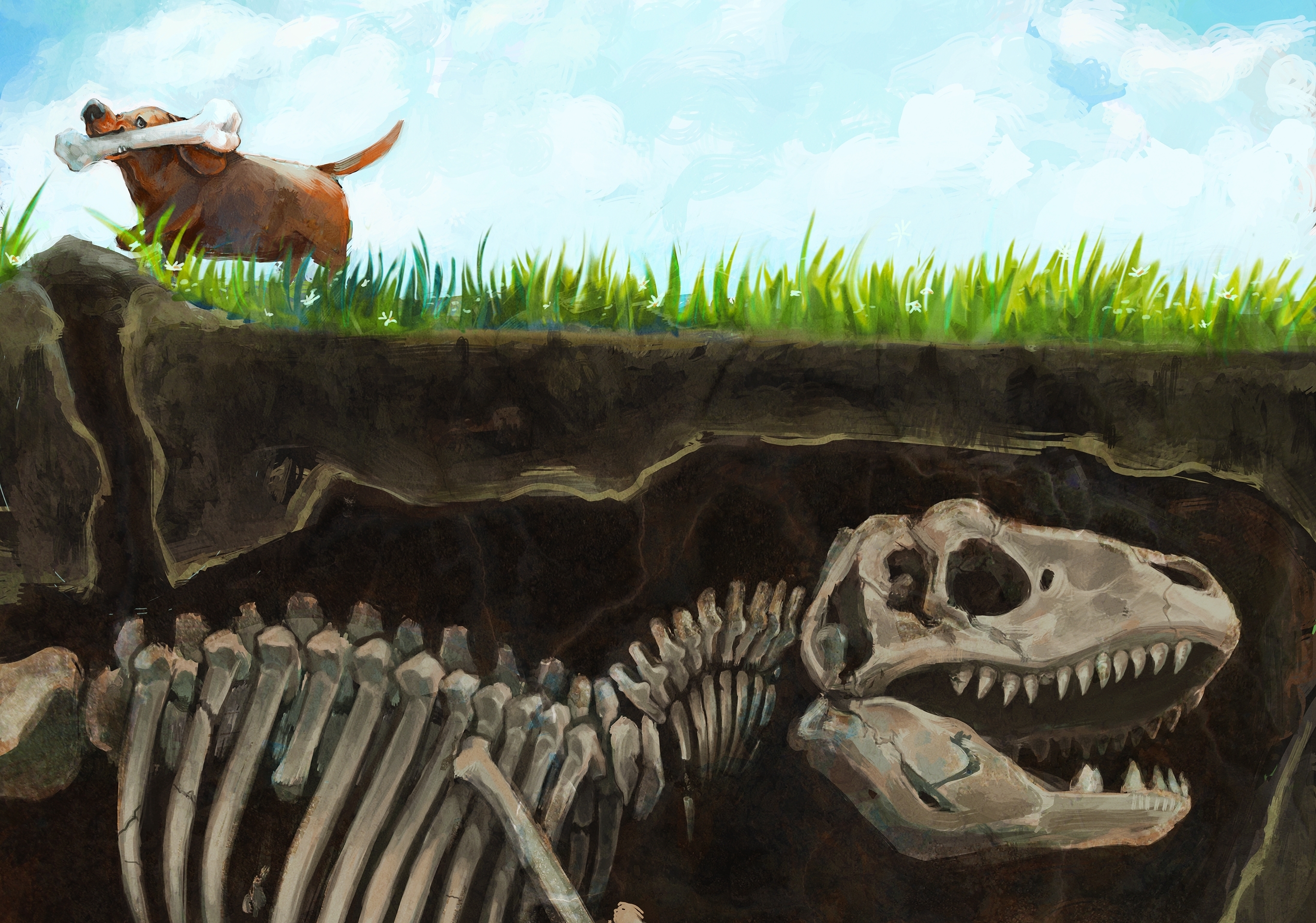 Free download wallpaper Animal, Dinosaur, Humor on your PC desktop