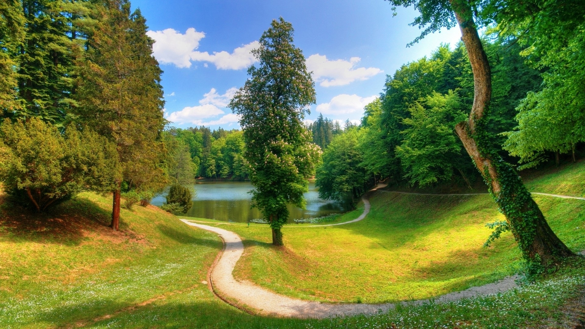 Free download wallpaper Nature, Grass, Lake, Park, Tree, Earth, Path on your PC desktop