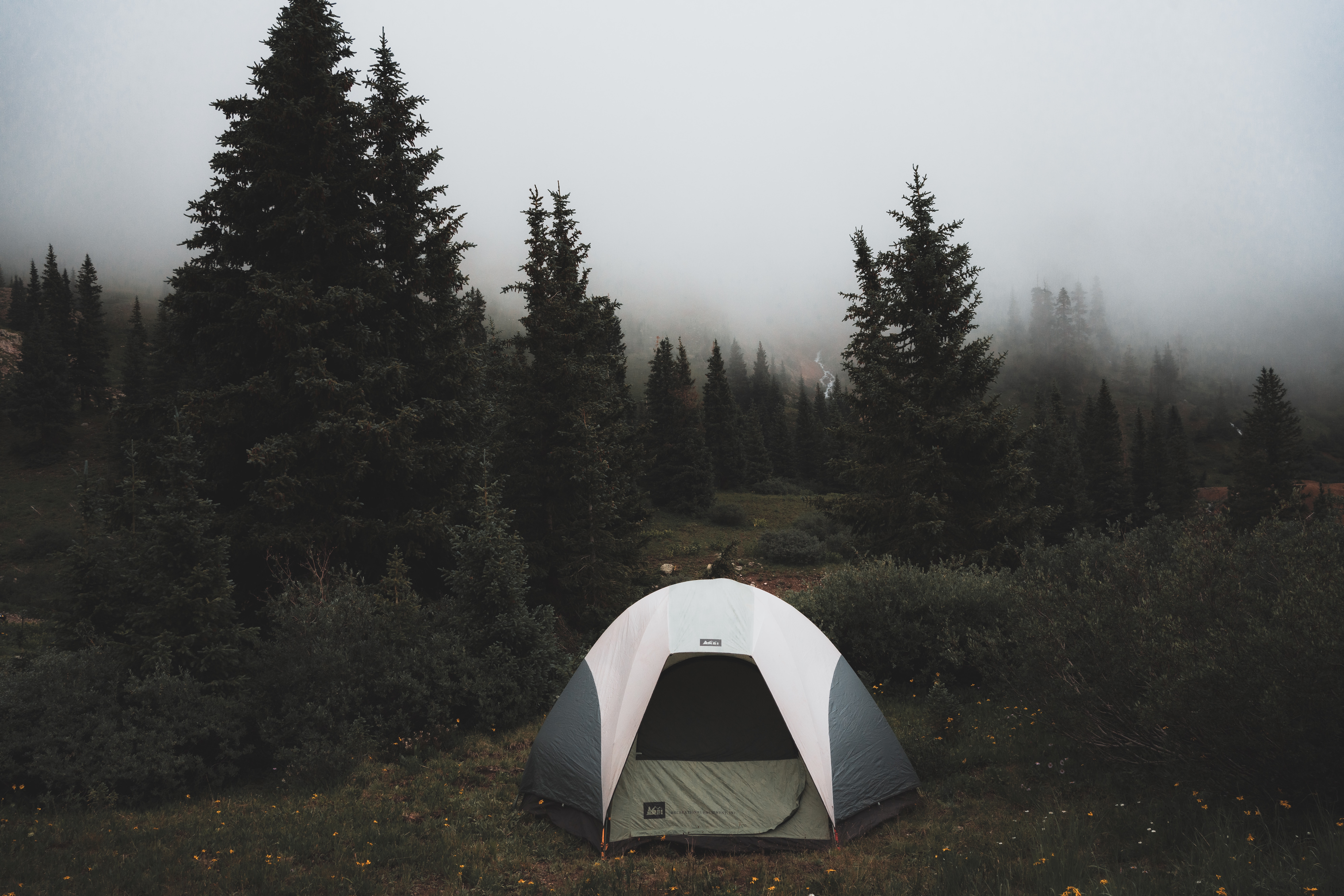 119032 скачать картинку поход, палатка, природа, деревья, туман - обои и заставки бесплатно