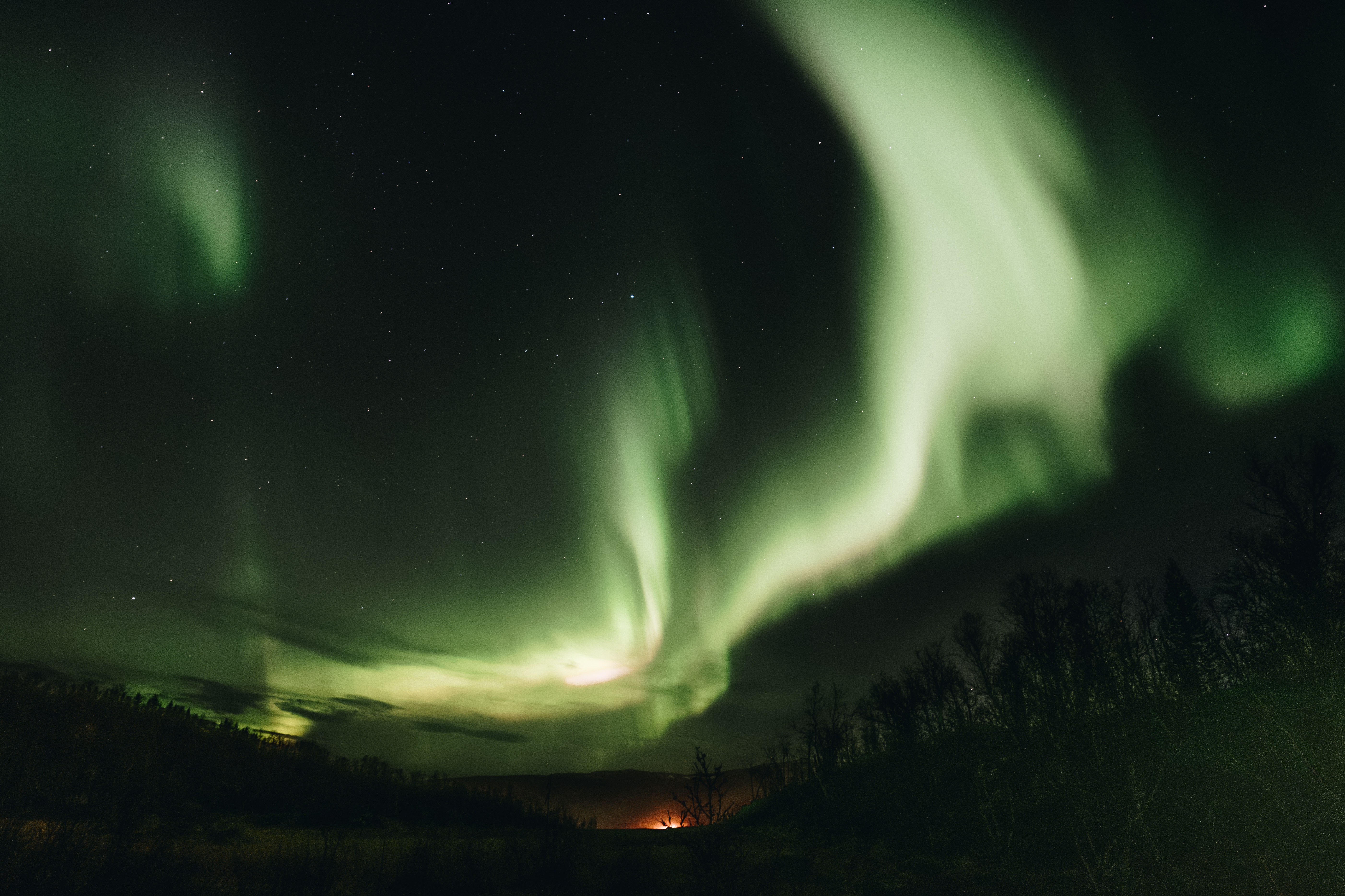 100542 descargar imagen naturaleza, cielo, noche, verde, auroras boreales, aurora boreal, aurora, fascinante: fondos de pantalla y protectores de pantalla gratis