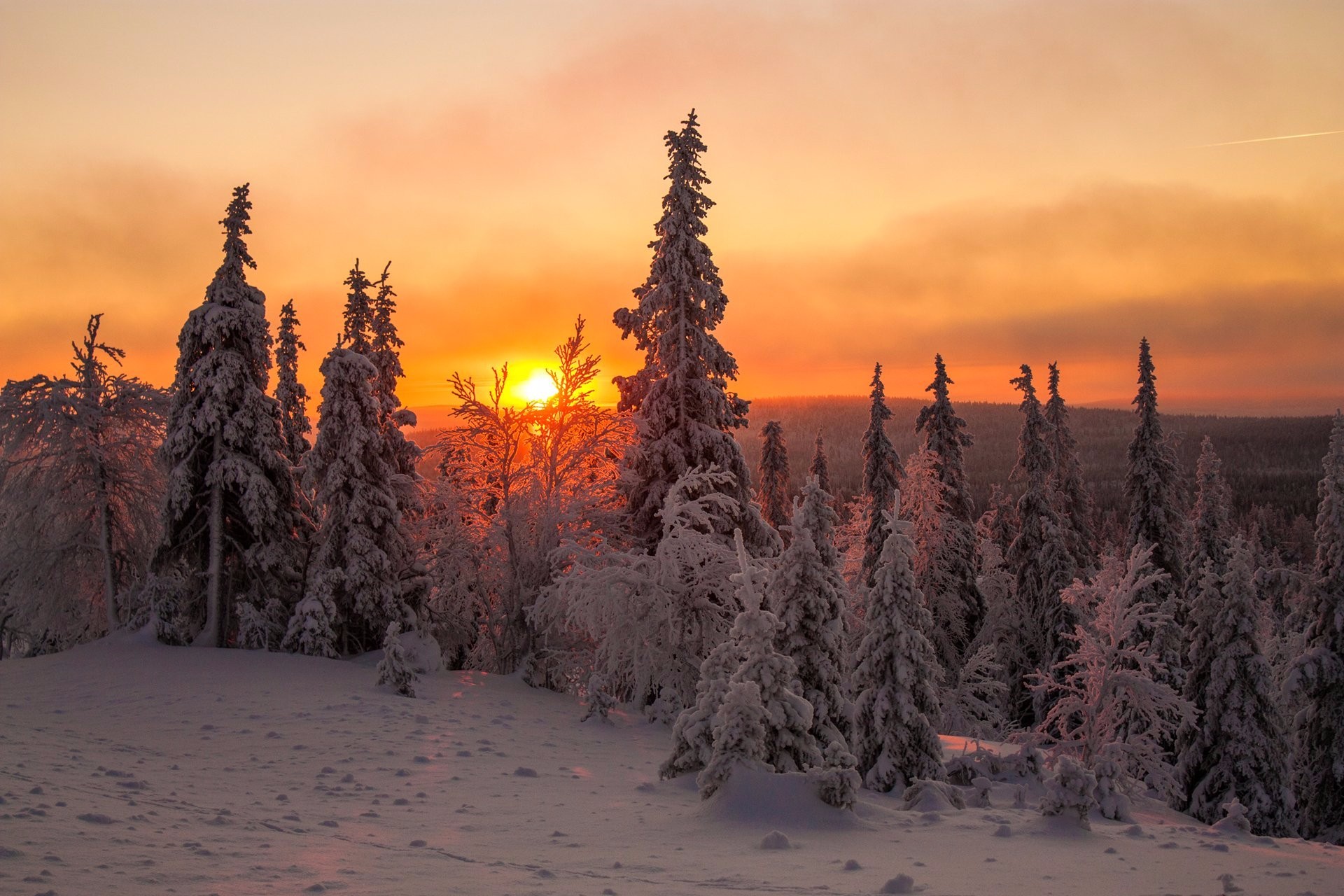 Baixar papel de parede para celular de Inverno, Pôr Do Sol, Neve, Floresta, Árvore, Terra/natureza gratuito.