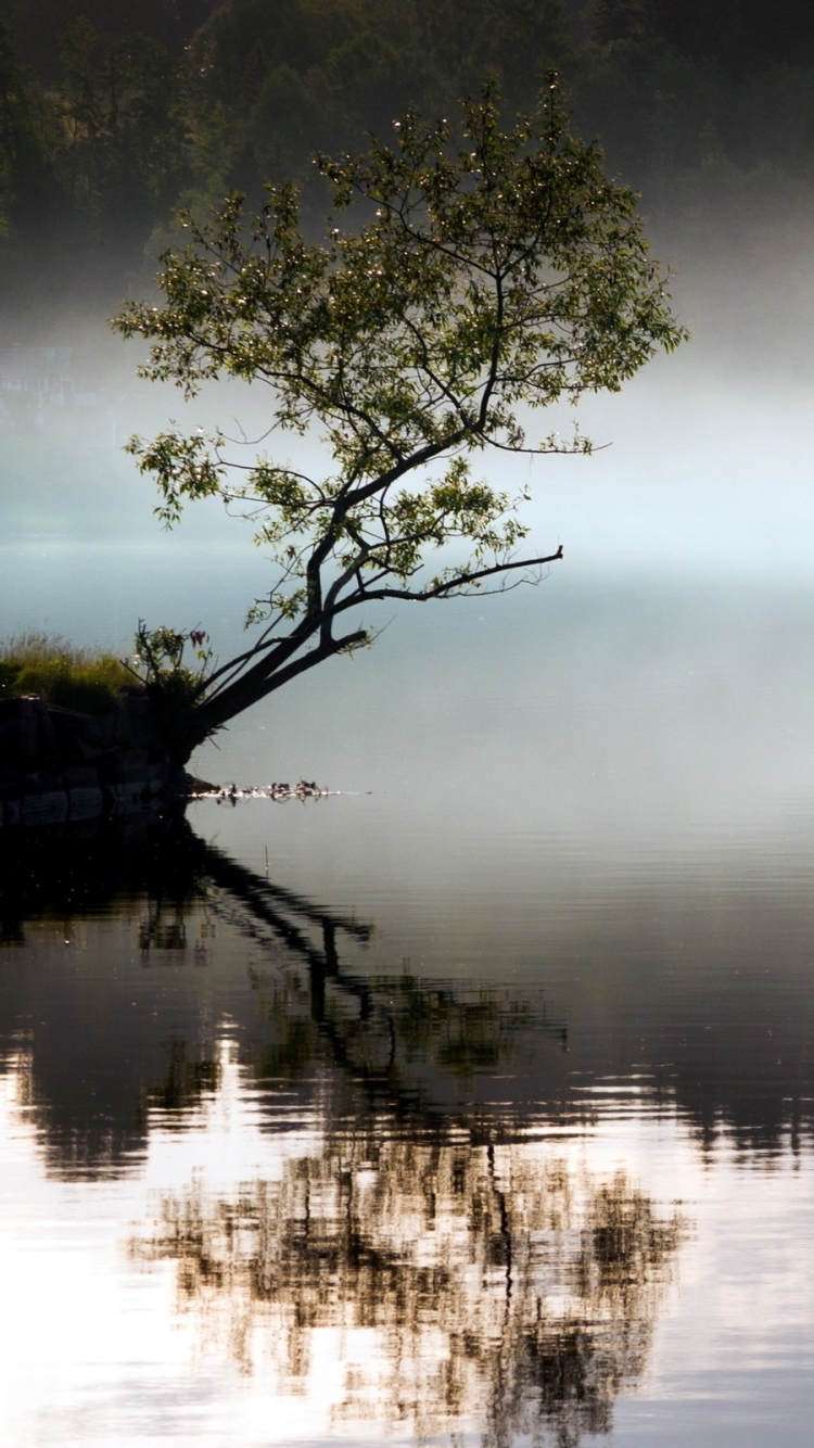 Descarga gratuita de fondo de pantalla para móvil de Fotografía, Reflejo.