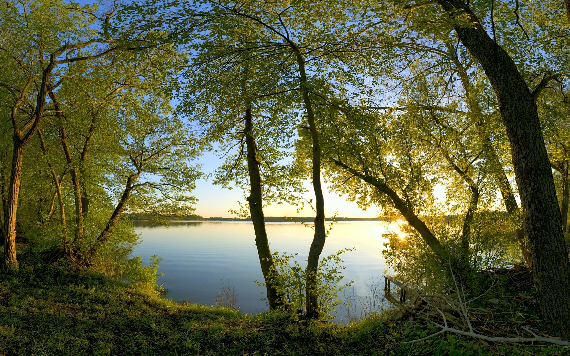 Descarga gratis la imagen Bosque, Tierra/naturaleza en el escritorio de tu PC