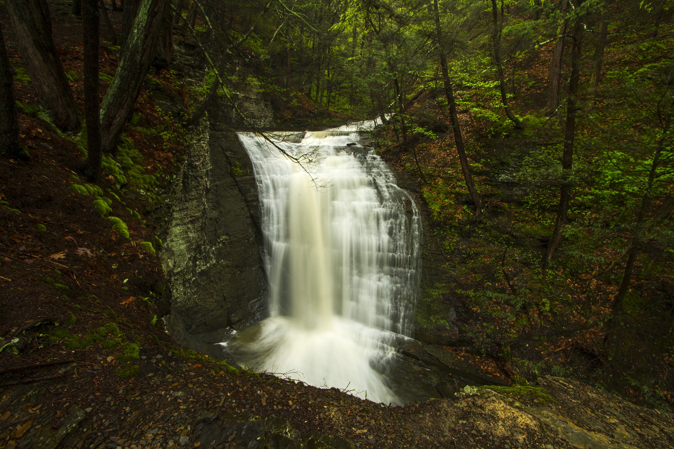 Laden Sie das Natur, Wasserfälle, Wasserfall, Wald, Schaum, Erde/natur-Bild kostenlos auf Ihren PC-Desktop herunter