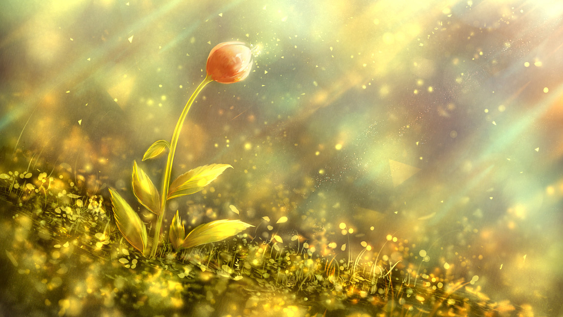 Download mobile wallpaper Flowers, Flower, Sunlight, Artistic for free.