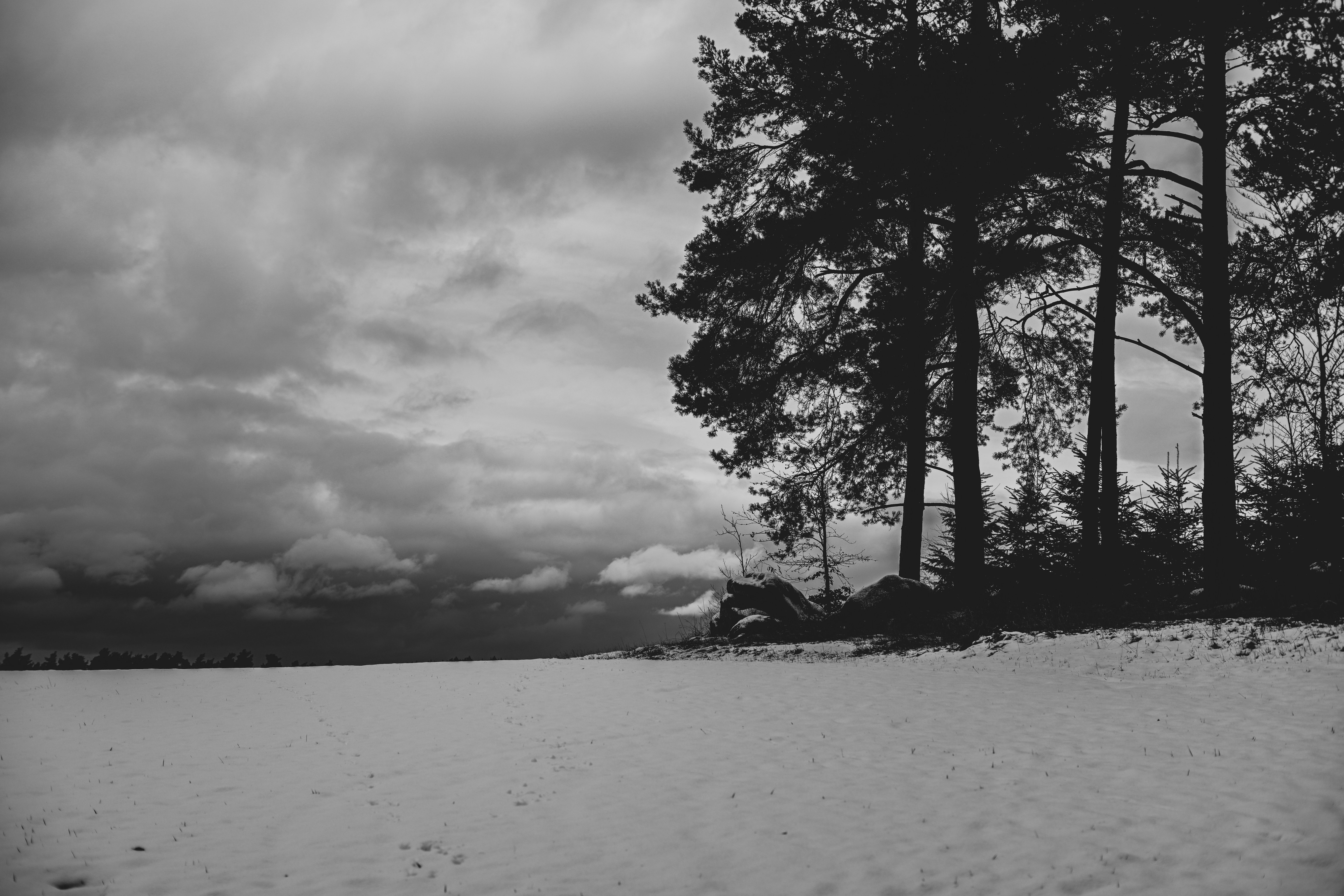 Free download wallpaper Trees, Bw, Nature, Snow, Field, Winter, Chb on your PC desktop