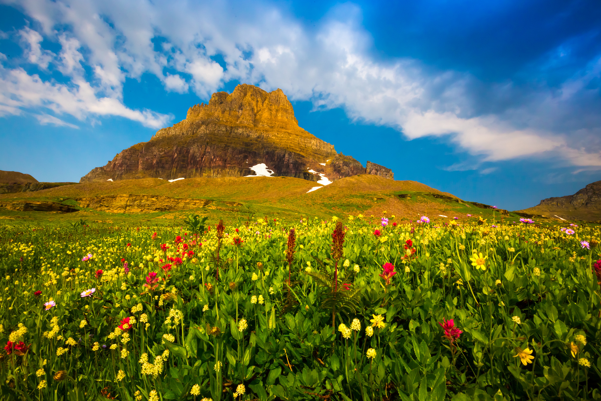 380530 скачать картинку весна, земля/природа, гора, цветок, ландшафт, полевой цветок, горы - обои и заставки бесплатно