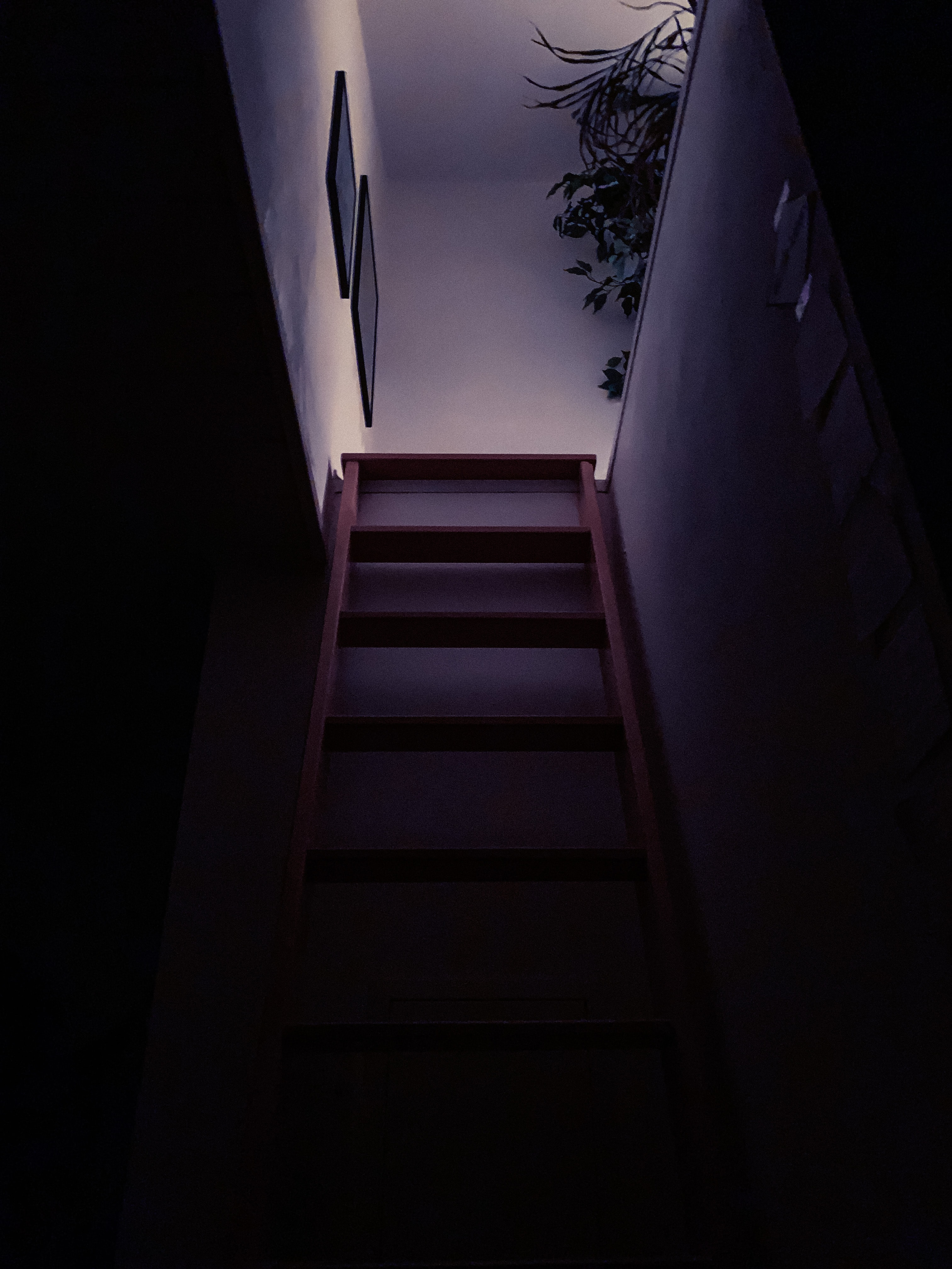 Download mobile wallpaper Ladder, Steps, Stairs, Room, Dark for free.