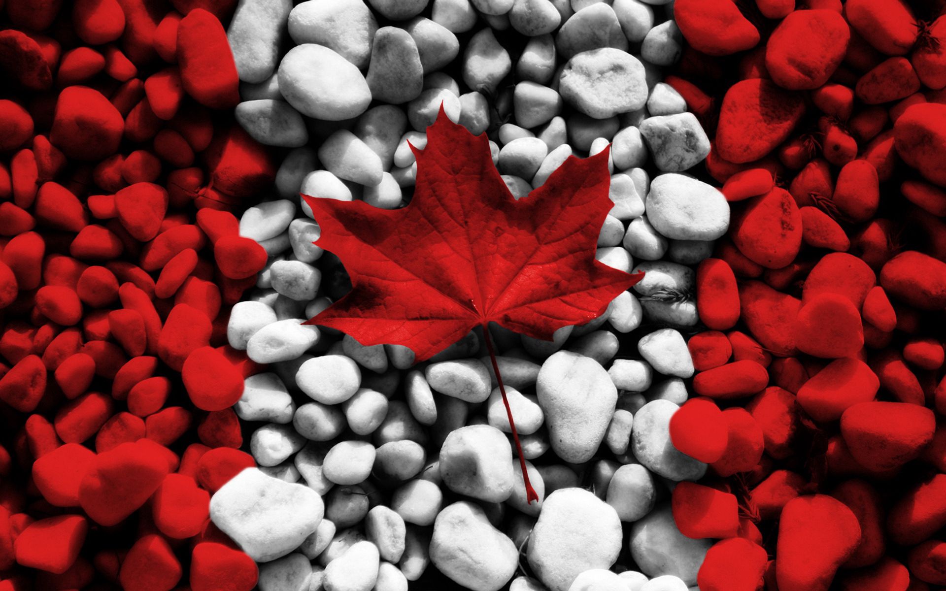 144633 скачать обои канада, разное, лист, флаг, камни - заставки и картинки бесплатно