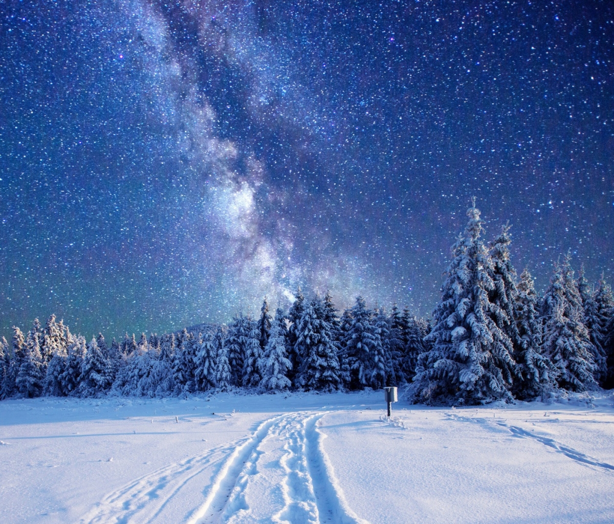 Descarga gratuita de fondo de pantalla para móvil de Invierno, Cielo, Noche, Bosque, Cielo Estrellado, Vía Láctea, Tierra/naturaleza.