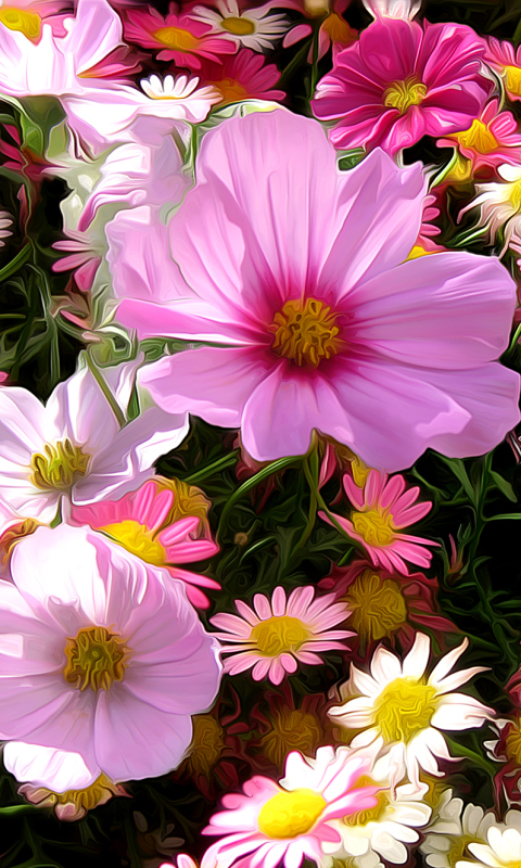 Download mobile wallpaper Flowers, Flower, Close Up, Field, Painting, Artistic, Cosmos, White Flower, Pink Flower for free.