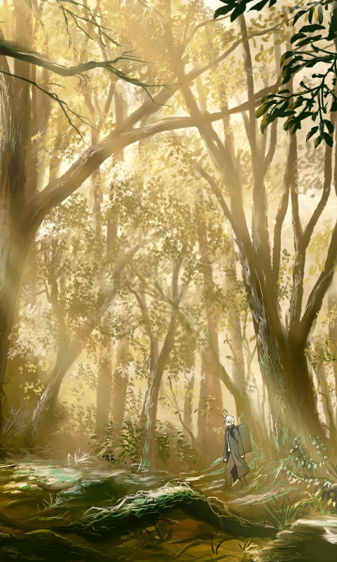 Download mobile wallpaper Anime, Forest, Ginko (Mushishi), Mushishi for free.
