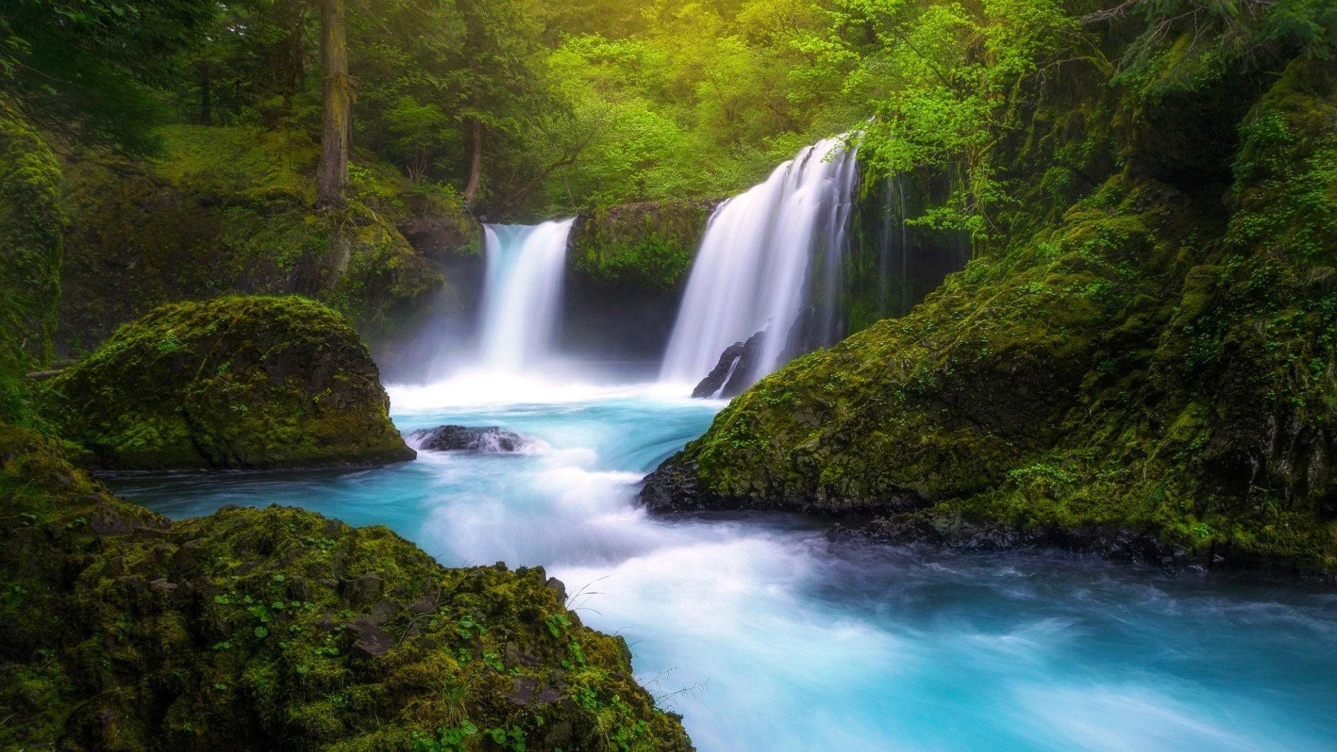 Скачать обои бесплатно Водопады, Водопад, Лес, Дерево, Зеленый, Земля/природа картинка на рабочий стол ПК