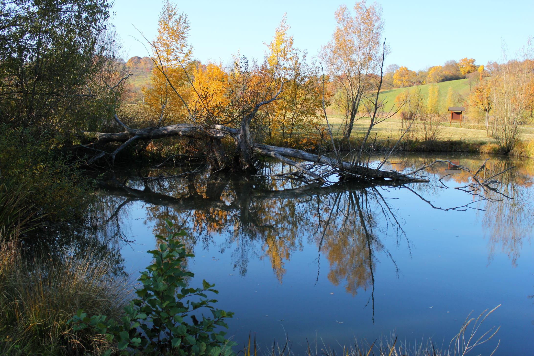 Téléchargez gratuitement l'image Lac, Terre/nature sur le bureau de votre PC