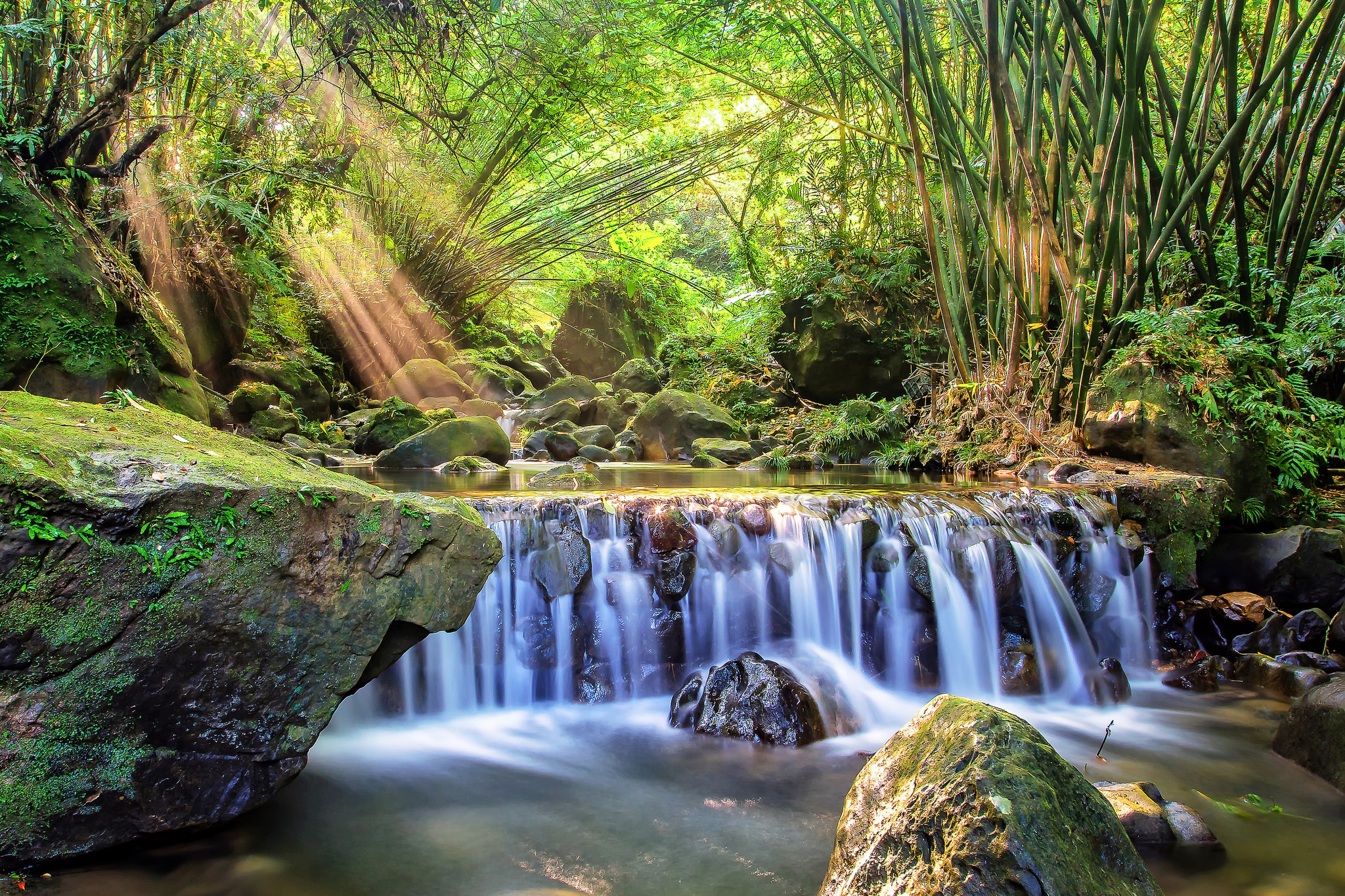 Free download wallpaper Nature, Waterfall, Earth, Moss, Stream, Bamboo, Sunbeam on your PC desktop