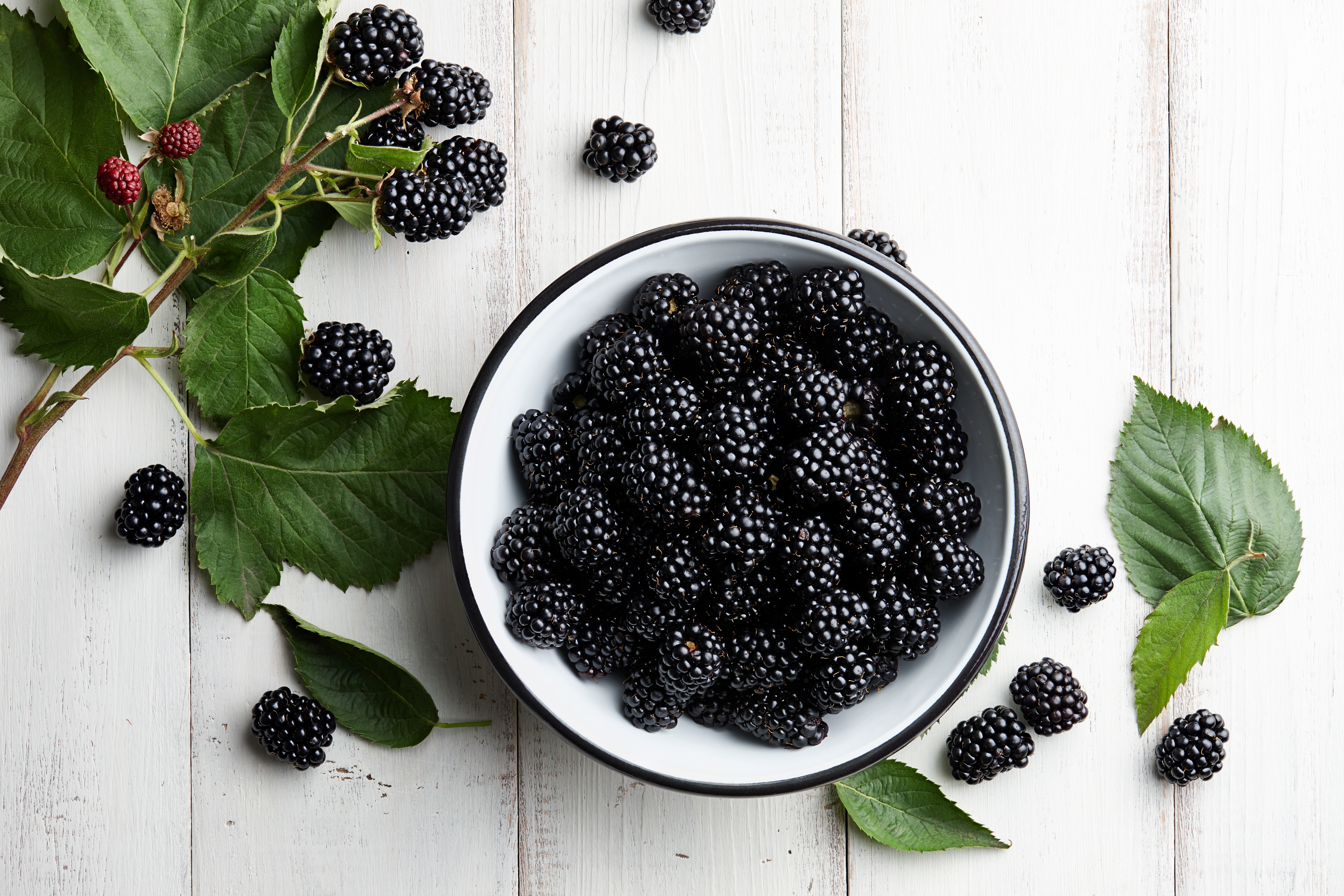 Free download wallpaper Food, Blackberry, Berry, Fruit on your PC desktop