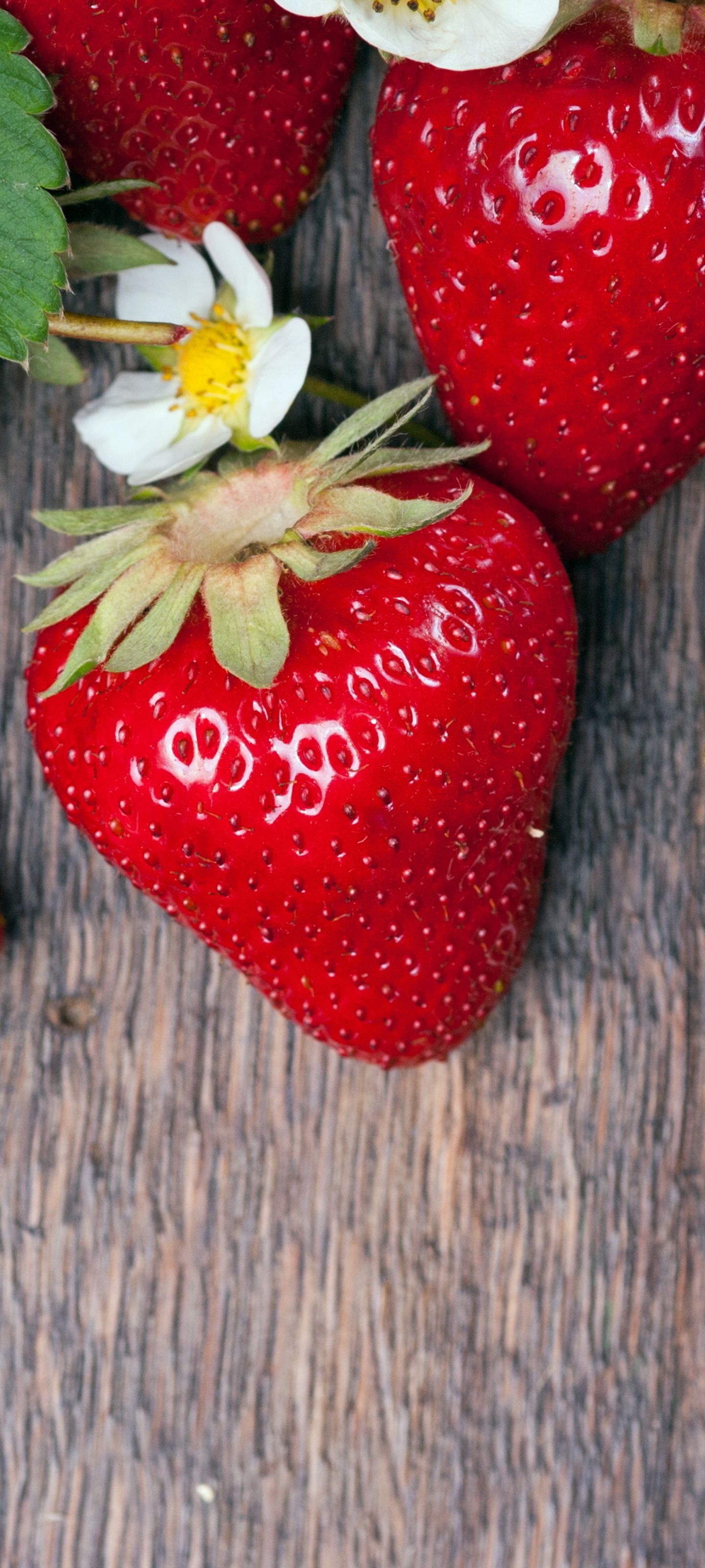 Handy-Wallpaper Erdbeere, Beere, Frucht, Nahrungsmittel, Früchte kostenlos herunterladen.