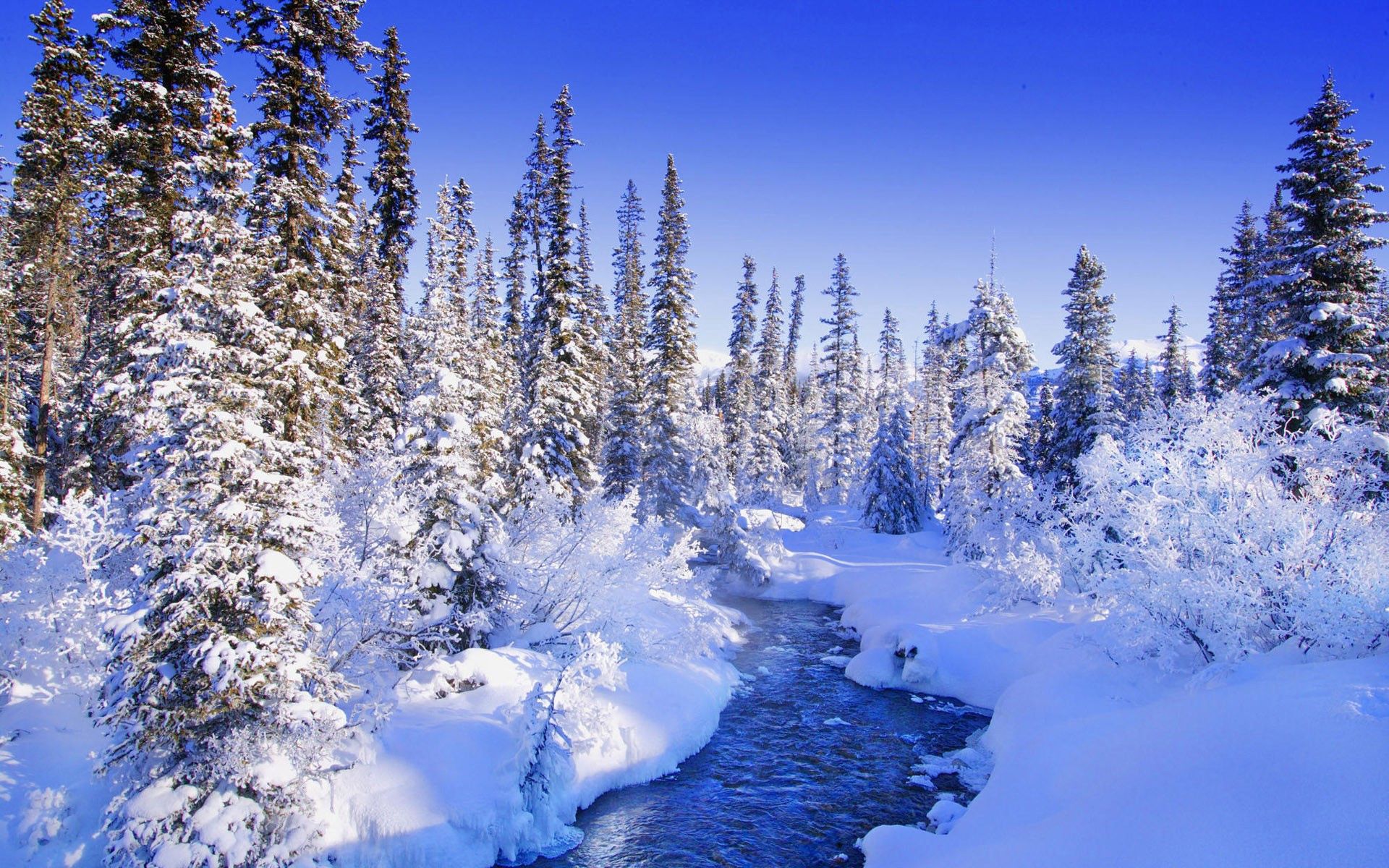 140330 Hintergrundbild herunterladen natur, flüsse, bäume, schnee, bush, frost, rauhreif, driften, driftet, aß, aßen - Bildschirmschoner und Bilder kostenlos