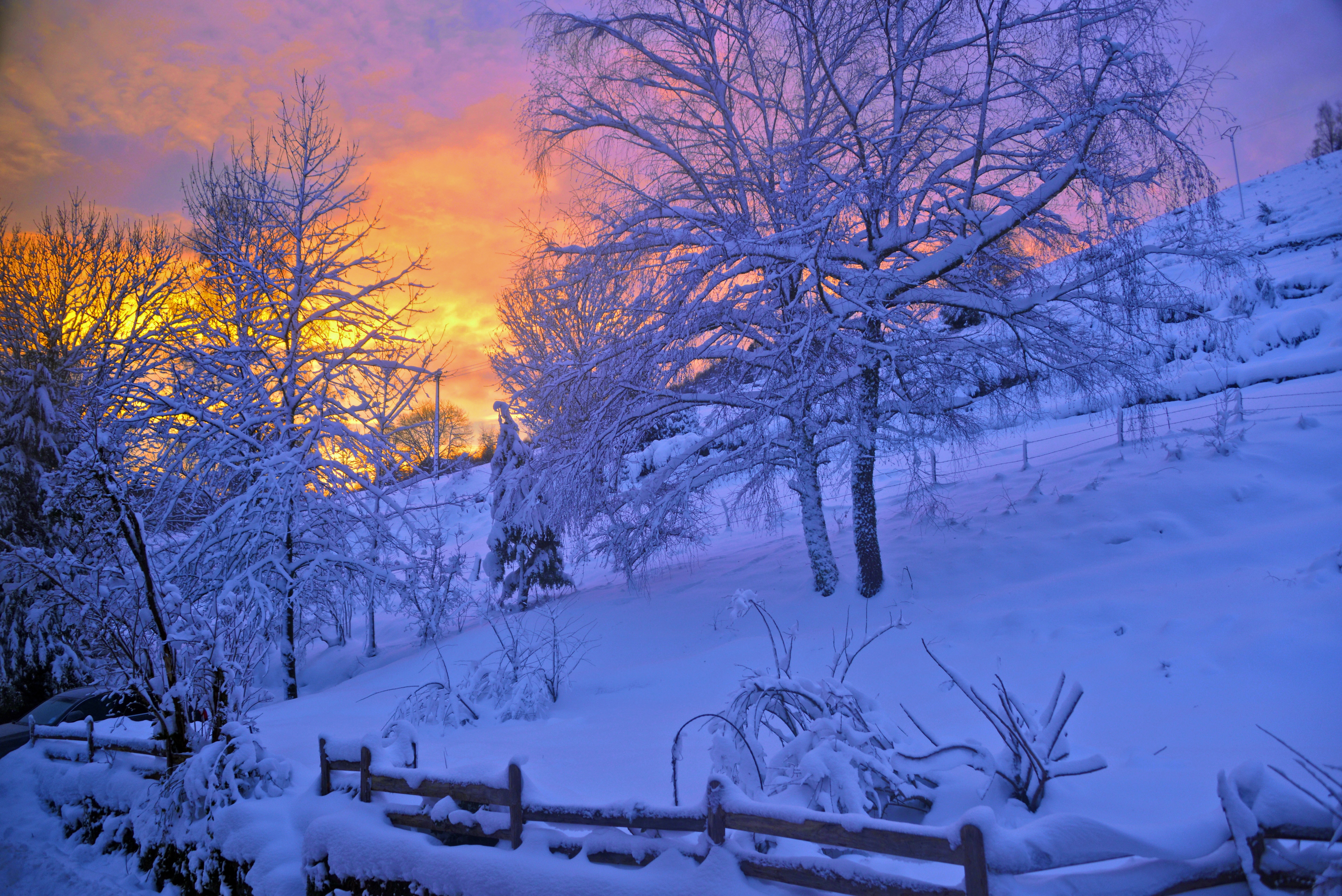 158009 descargar fondo de pantalla nieve, árboles, puesta del sol, invierno, naturaleza, cielo, valla, cerco: protectores de pantalla e imágenes gratis