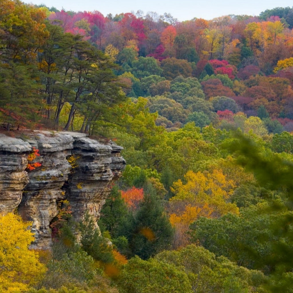 Free download wallpaper Forest, Tree, Fall, Earth, Cliff, Colorful on your PC desktop