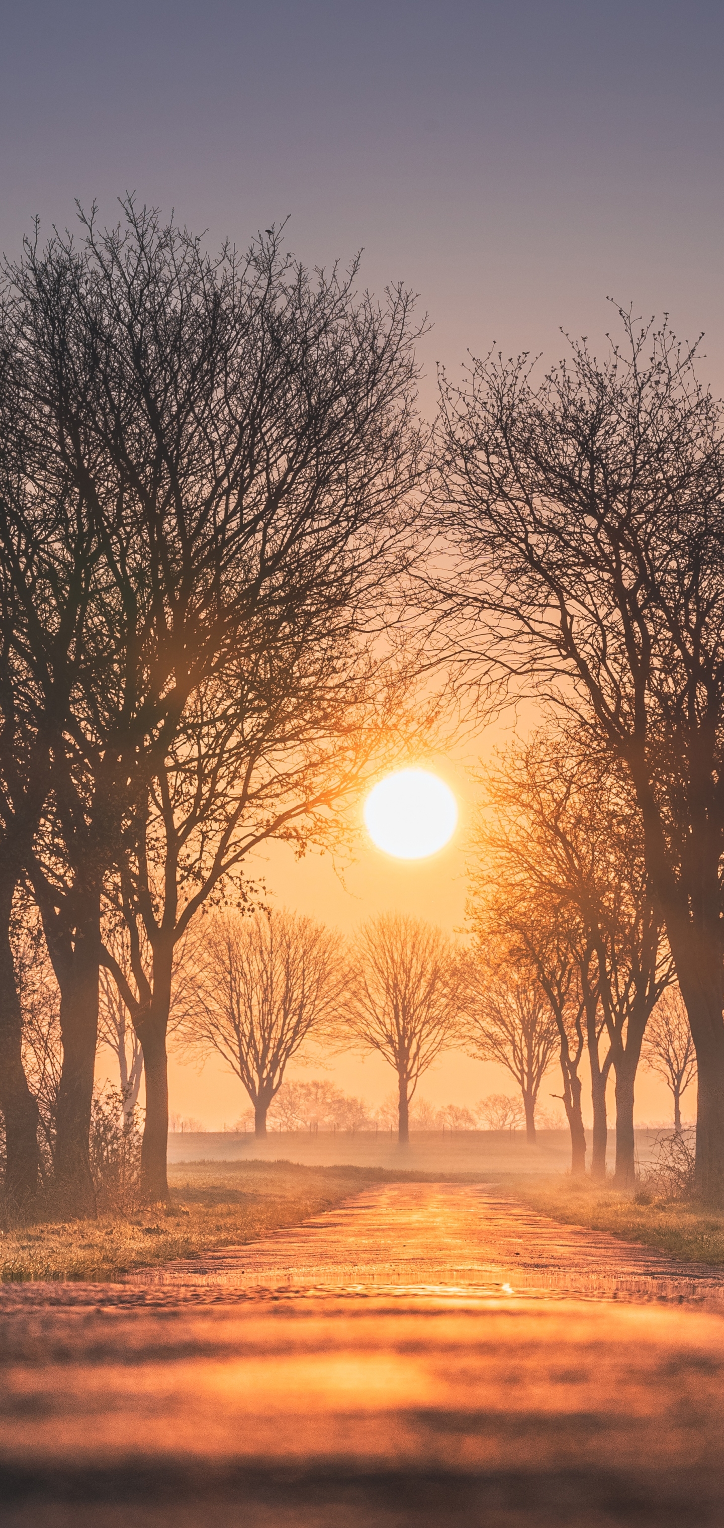 Download mobile wallpaper Sun, Dawn, Sunrise, Earth, Germany for free.