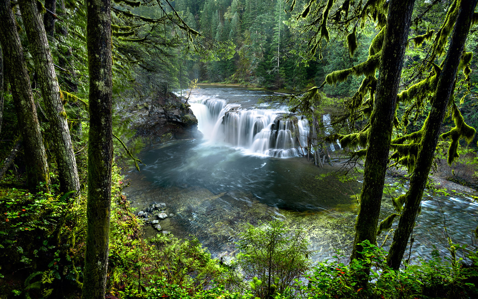 Descarga gratis la imagen Cascadas, Cascada, Bosque, Árbol, Tierra/naturaleza en el escritorio de tu PC