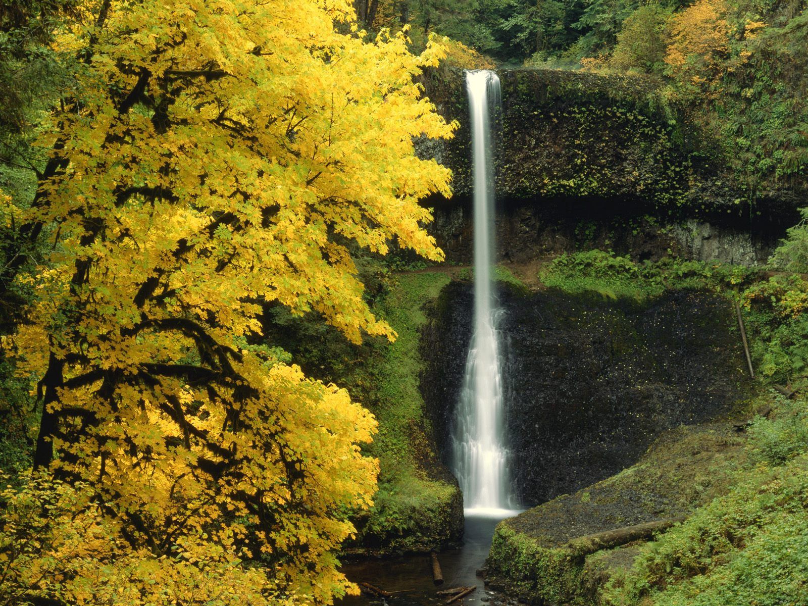 106031 скачать картинку природа, река, осень, водопад, течение - обои и заставки бесплатно