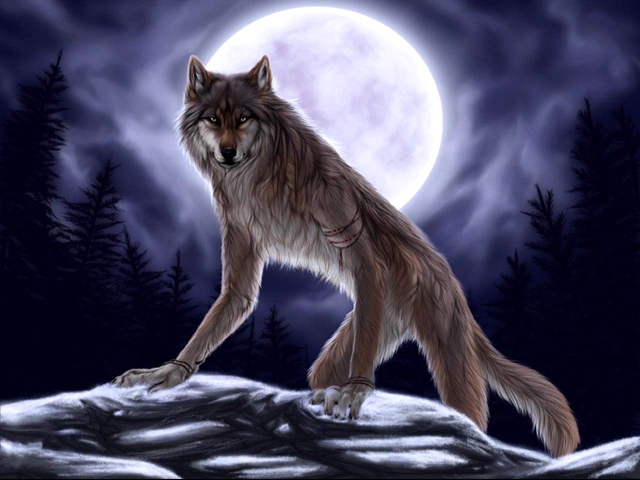 無料モバイル壁紙暗い, 人狼をダウンロードします。