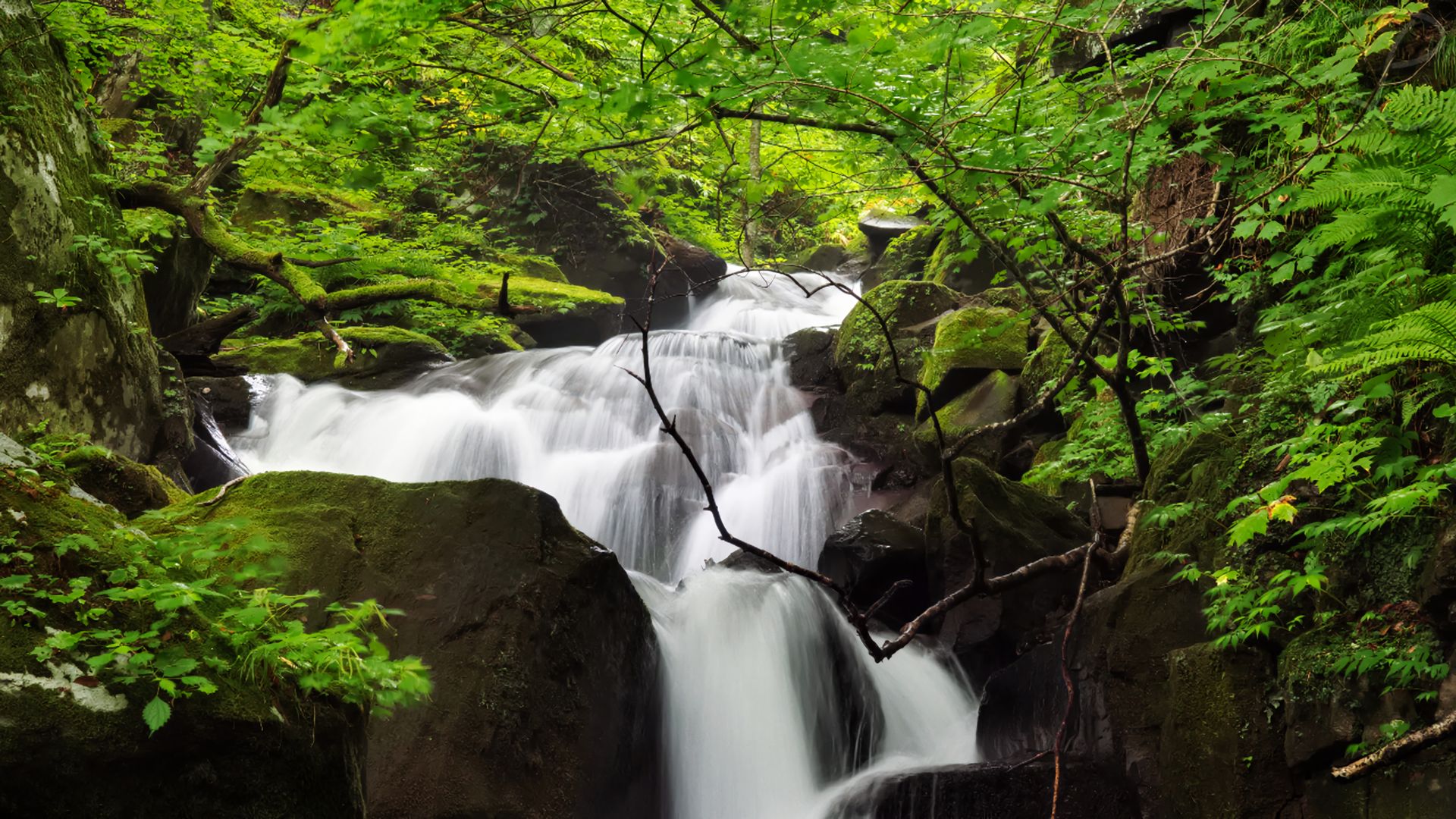 Laden Sie das Wasserfälle, Wasserfall, Wald, Strom, Erde/natur-Bild kostenlos auf Ihren PC-Desktop herunter