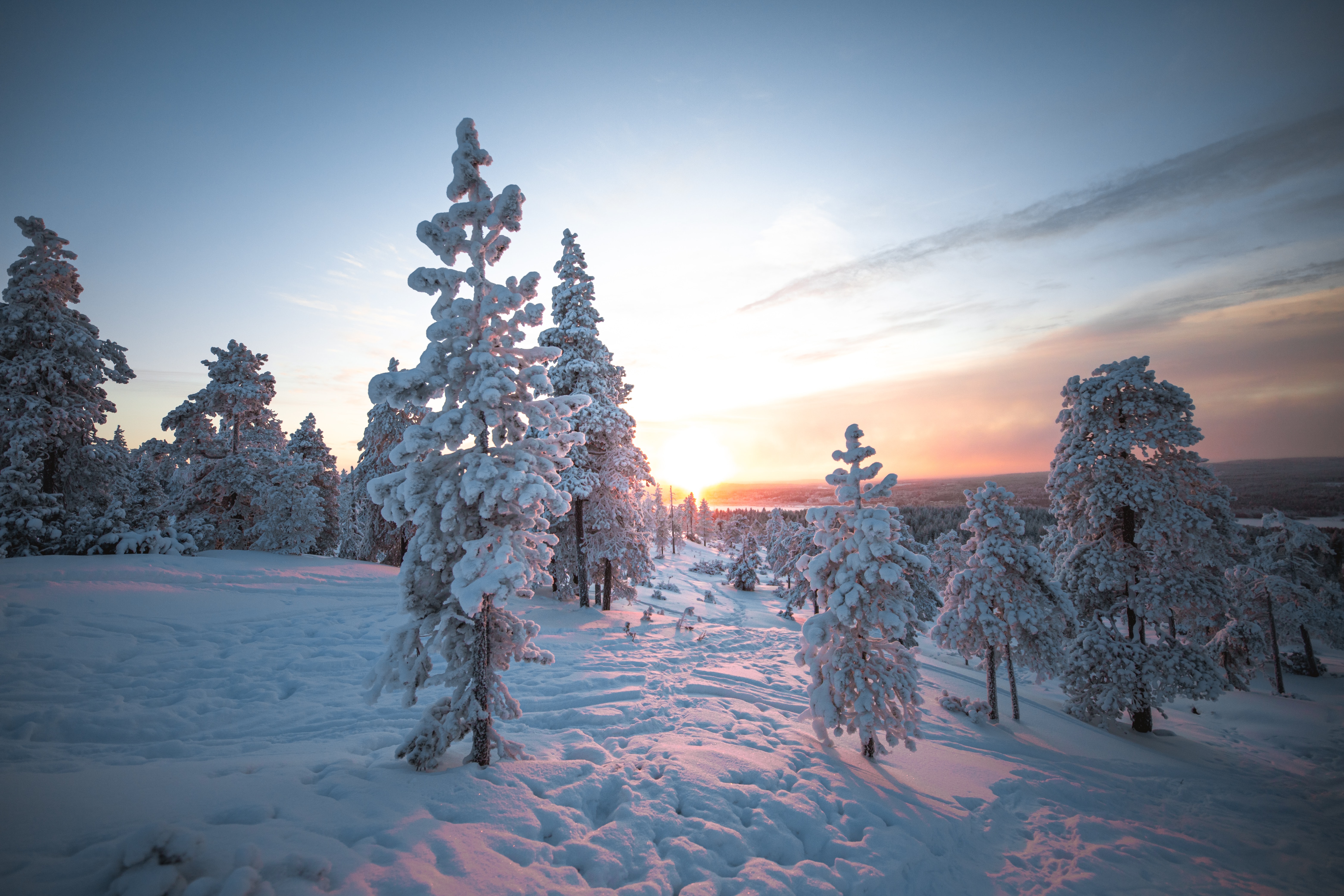 winter, sunset, snow, nature, trees