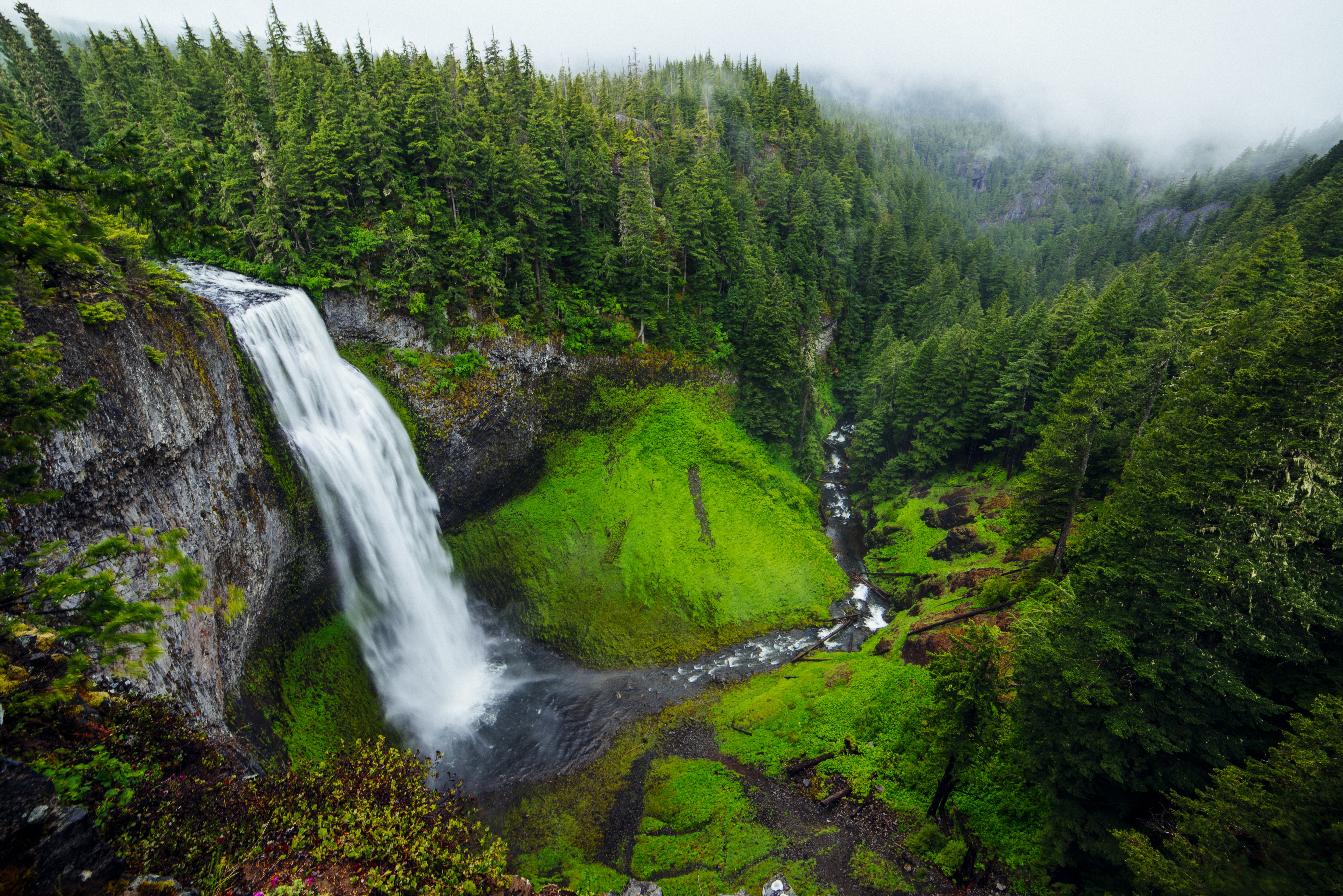 Free download wallpaper Nature, Waterfalls, Waterfall, Forest, Fog, Earth, Cliff, Moss, Stream on your PC desktop