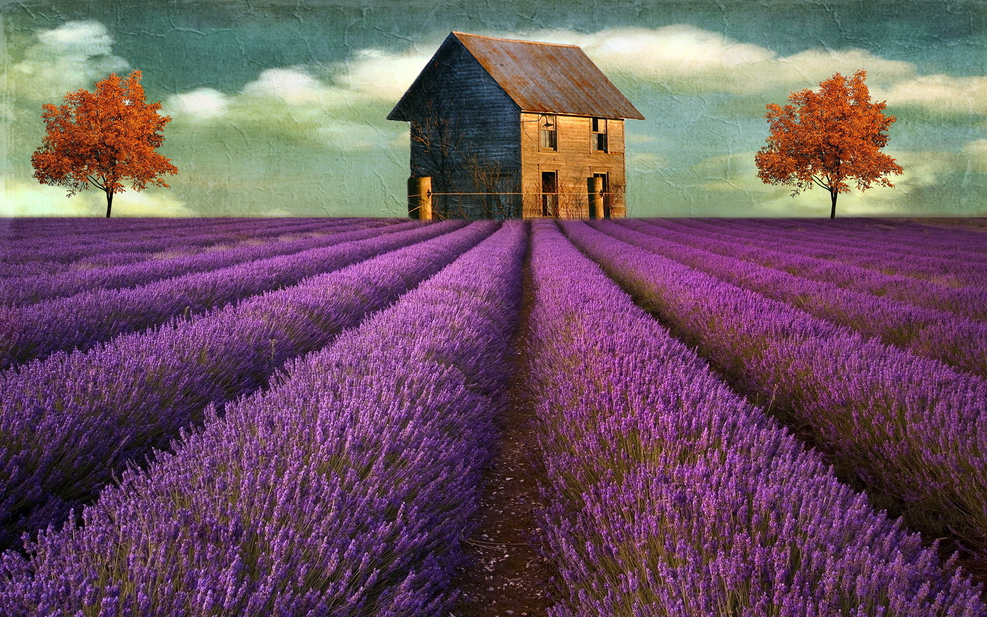 Download mobile wallpaper Tree, House, Purple, Painting, Artistic, Lavender for free.