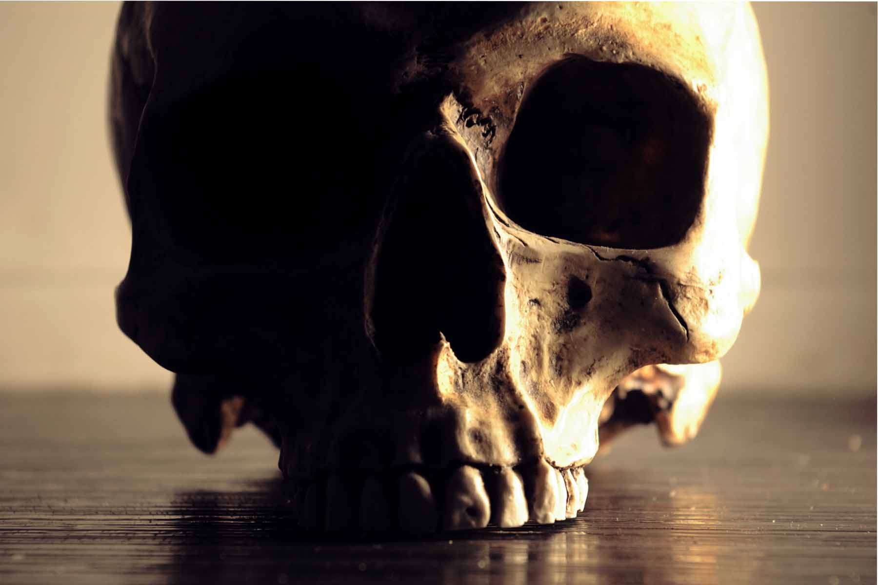 Download mobile wallpaper Dark, Skull for free.