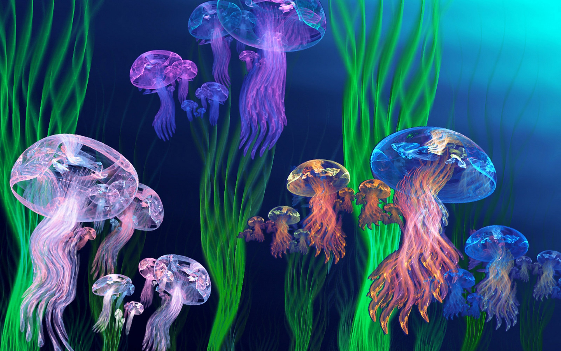 Download mobile wallpaper Jellyfish, Fishes, Colors, Animal, Colorful for free.