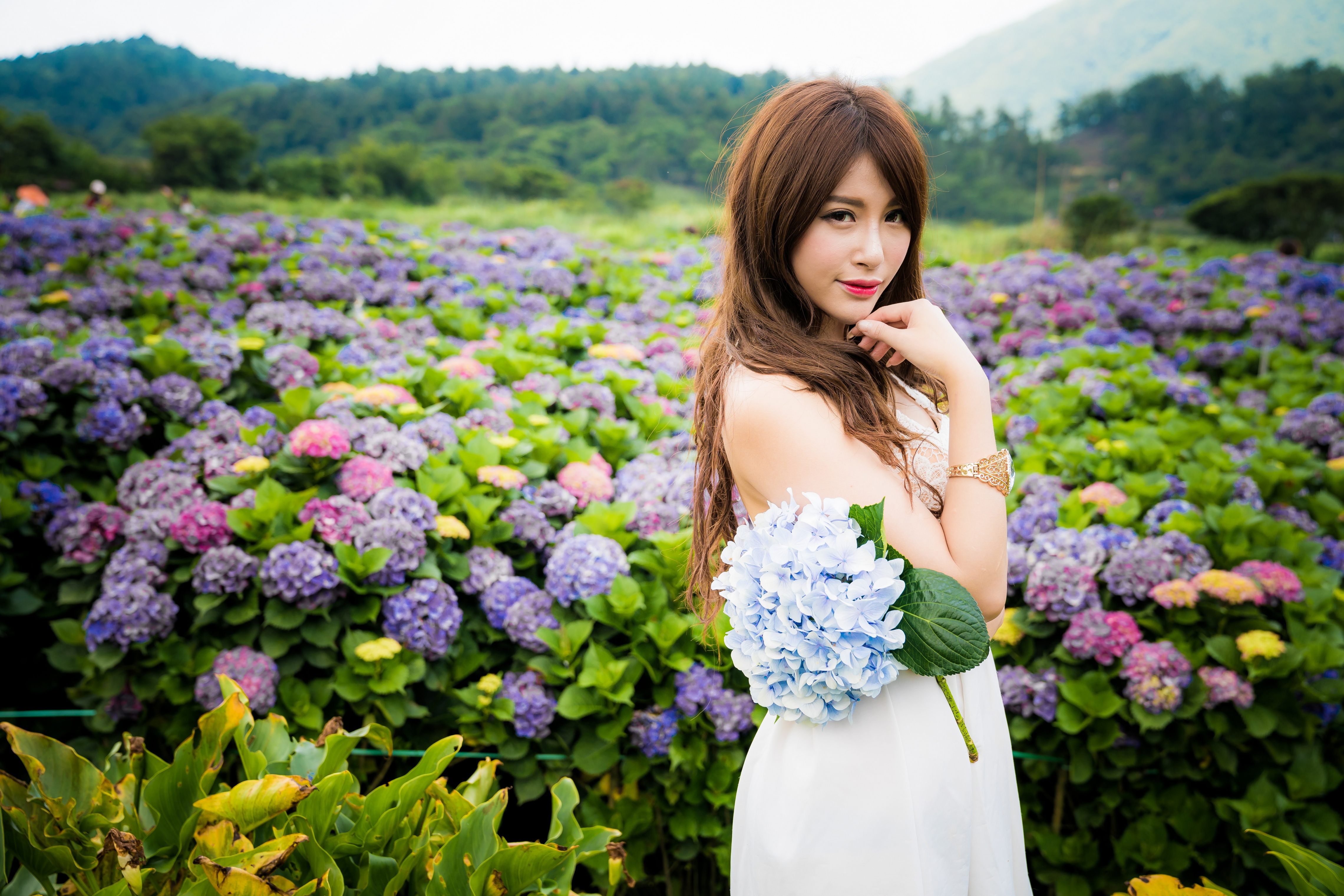 Free download wallpaper Flower, Hydrangea, Brunette, Model, Women, Asian, Long Hair, Lipstick, Depth Of Field, White Dress on your PC desktop