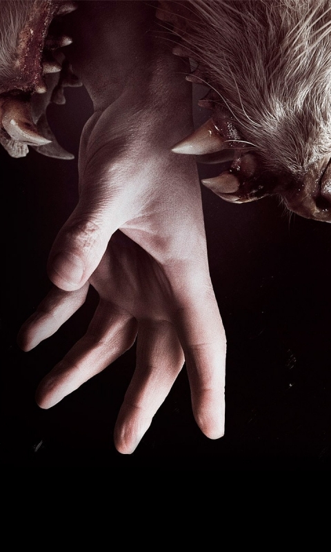 Download mobile wallpaper Dark, Werewolf for free.