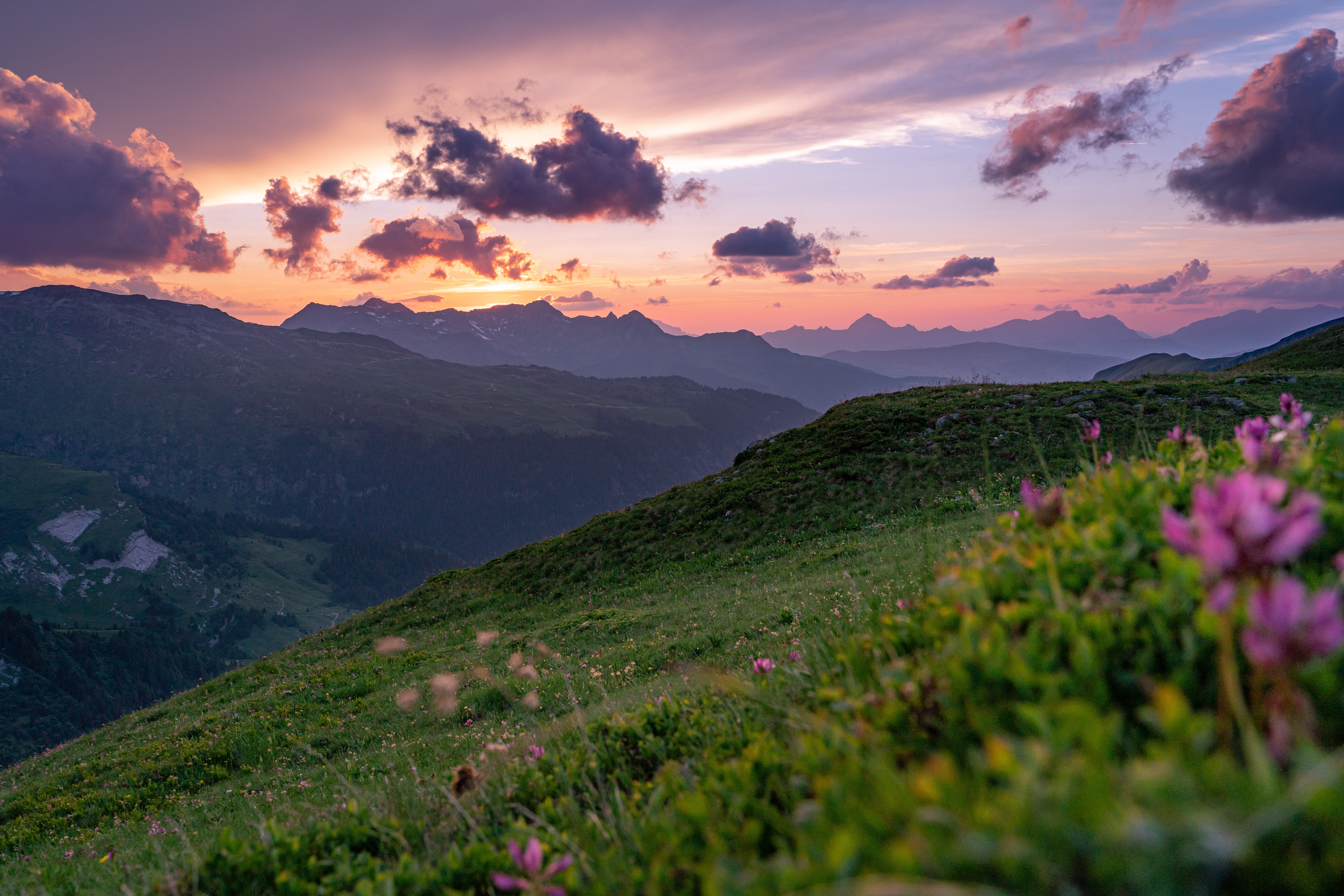 Free download wallpaper Grass, Slopes, Mountains, Sunset, Nature, Flowers, Landscape on your PC desktop