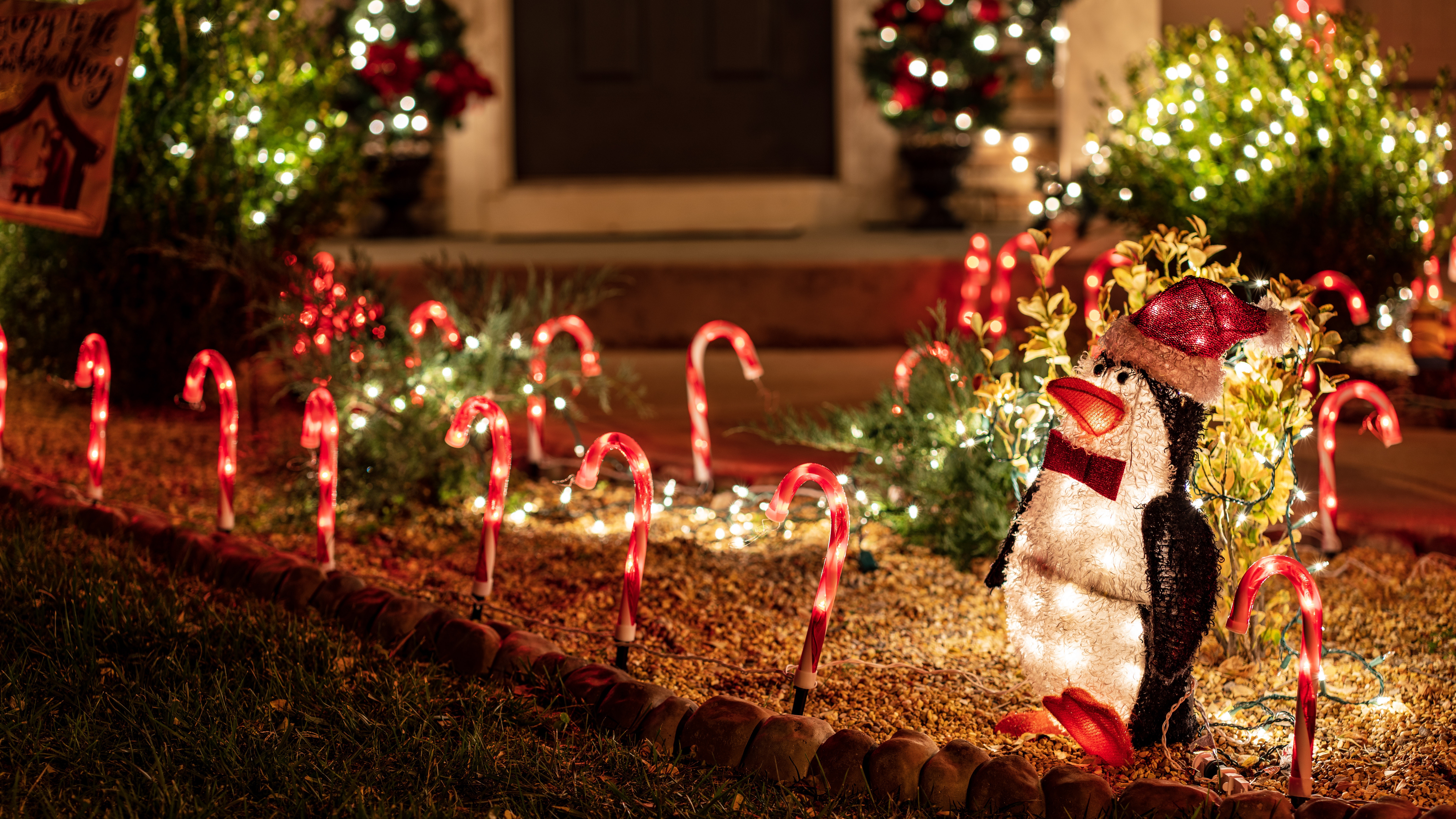 Téléchargez des papiers peints mobile Noël, Vacances, Décorations De Noël, Manchot, Lumières De Noël gratuitement.