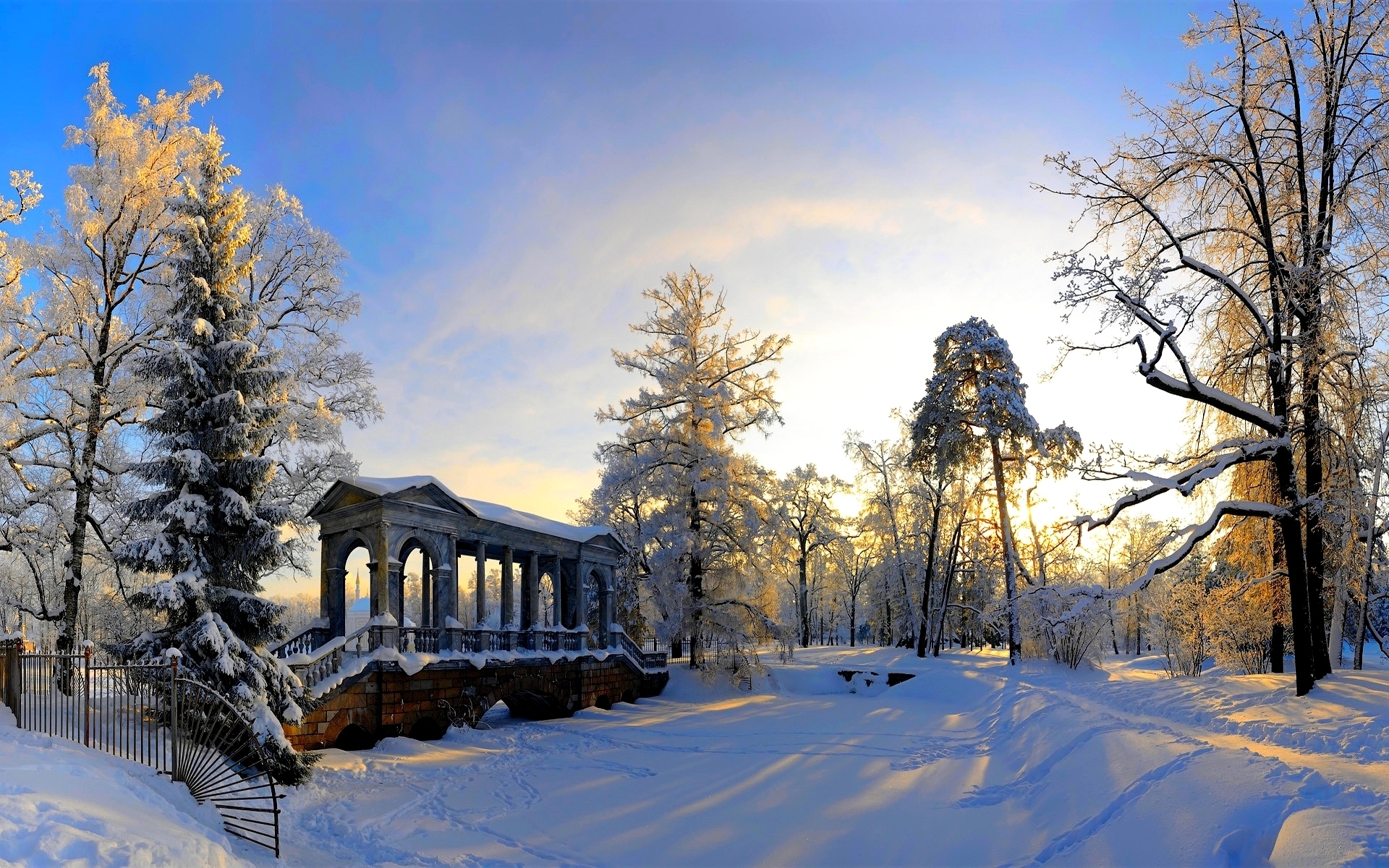 Descarga gratuita de fondo de pantalla para móvil de Invierno, Nieve, Parque, Árbol, Fotografía.