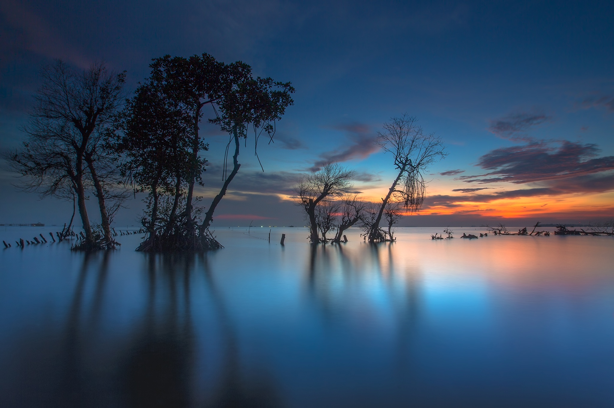 Скачать обои бесплатно Дерево, Залив, Индонезия, Земля/природа, Закат Солнца картинка на рабочий стол ПК