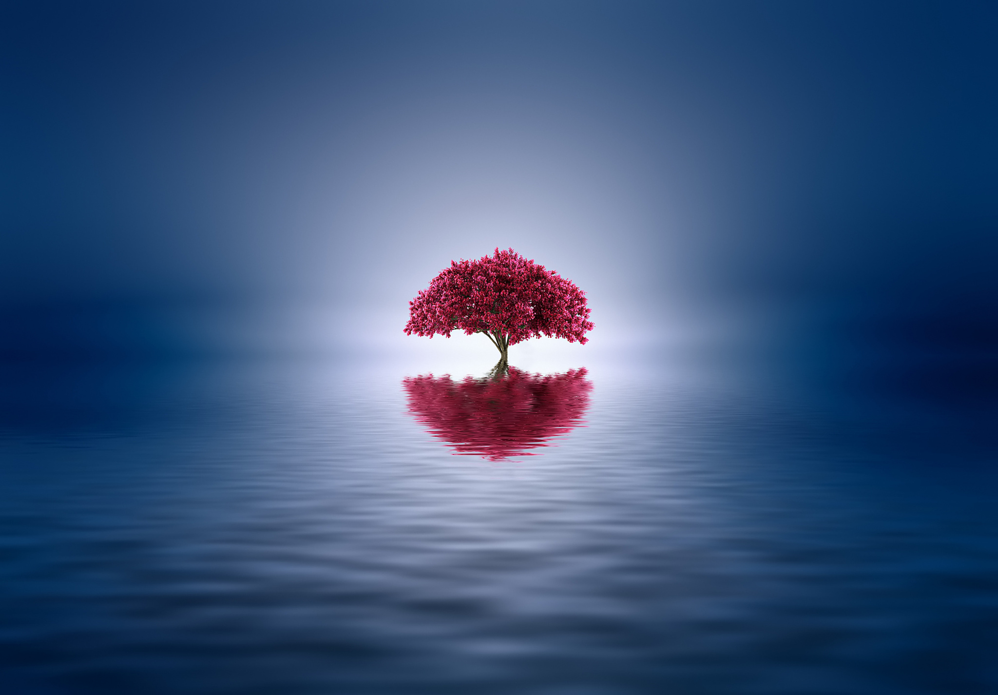 Free download wallpaper Reflection, Tree, Artistic, Lonely Tree on your PC desktop