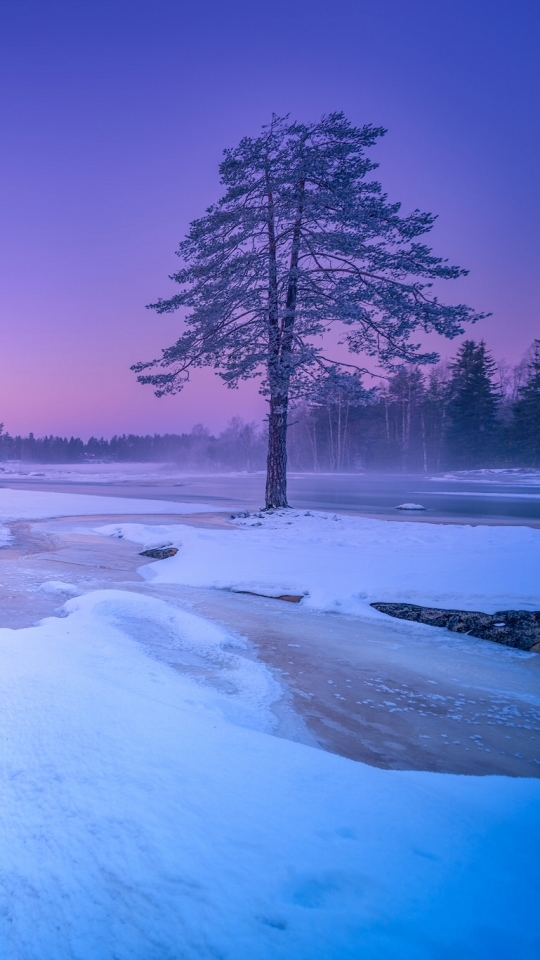 Handy-Wallpaper Landschaft, Winter, Schnee, Baum, Fluss, Erde, Feld, Erde/natur, Aufstellen kostenlos herunterladen.