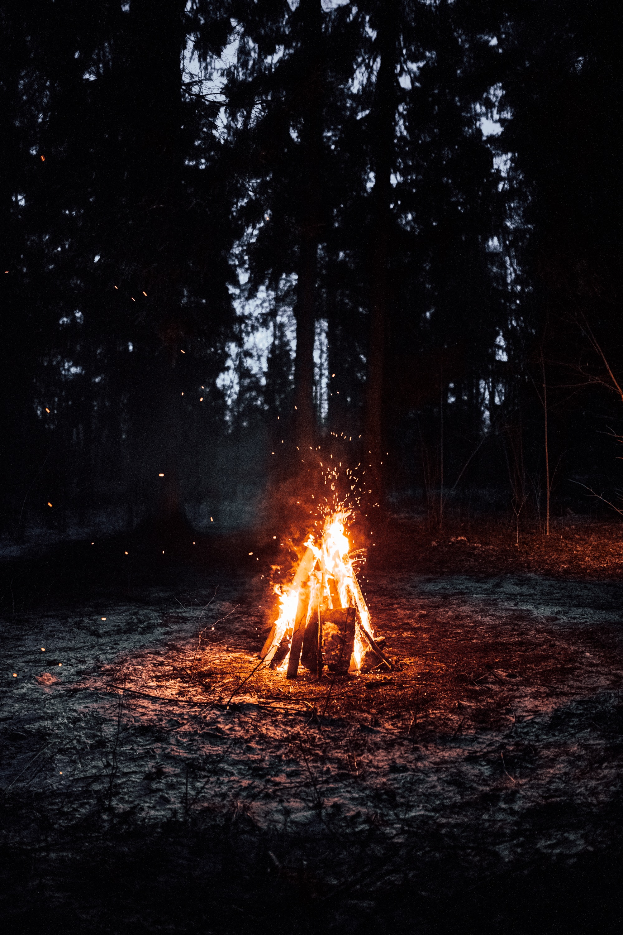 bonfire, fire, sparks, campsite, dark, camping