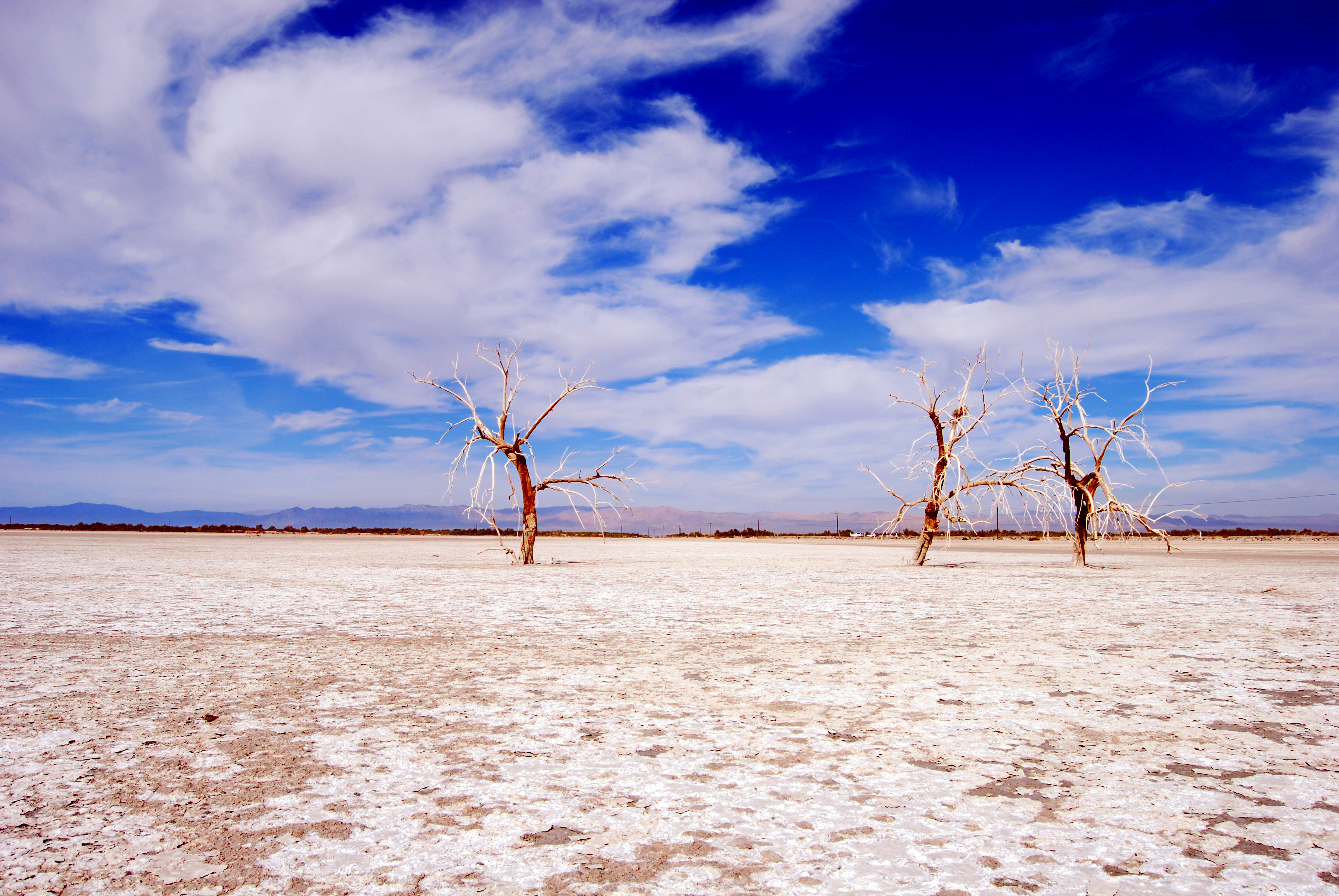 Free download wallpaper Nature, Trees, Sky, Clouds, Branches, Dry Lake, Desert on your PC desktop