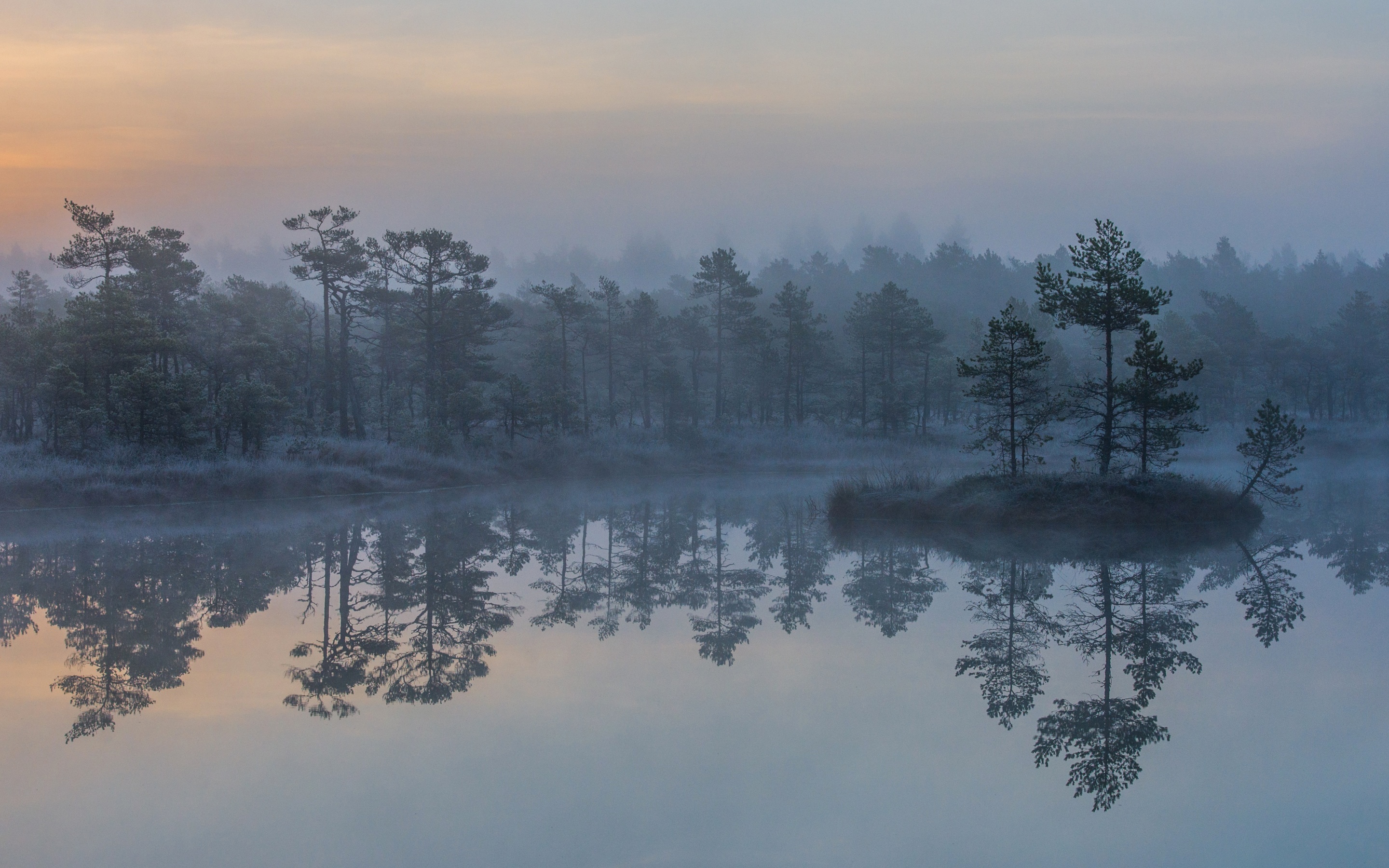 Descarga gratuita de fondo de pantalla para móvil de Lago, Árbol, Niebla, Tierra/naturaleza, Reflejo.