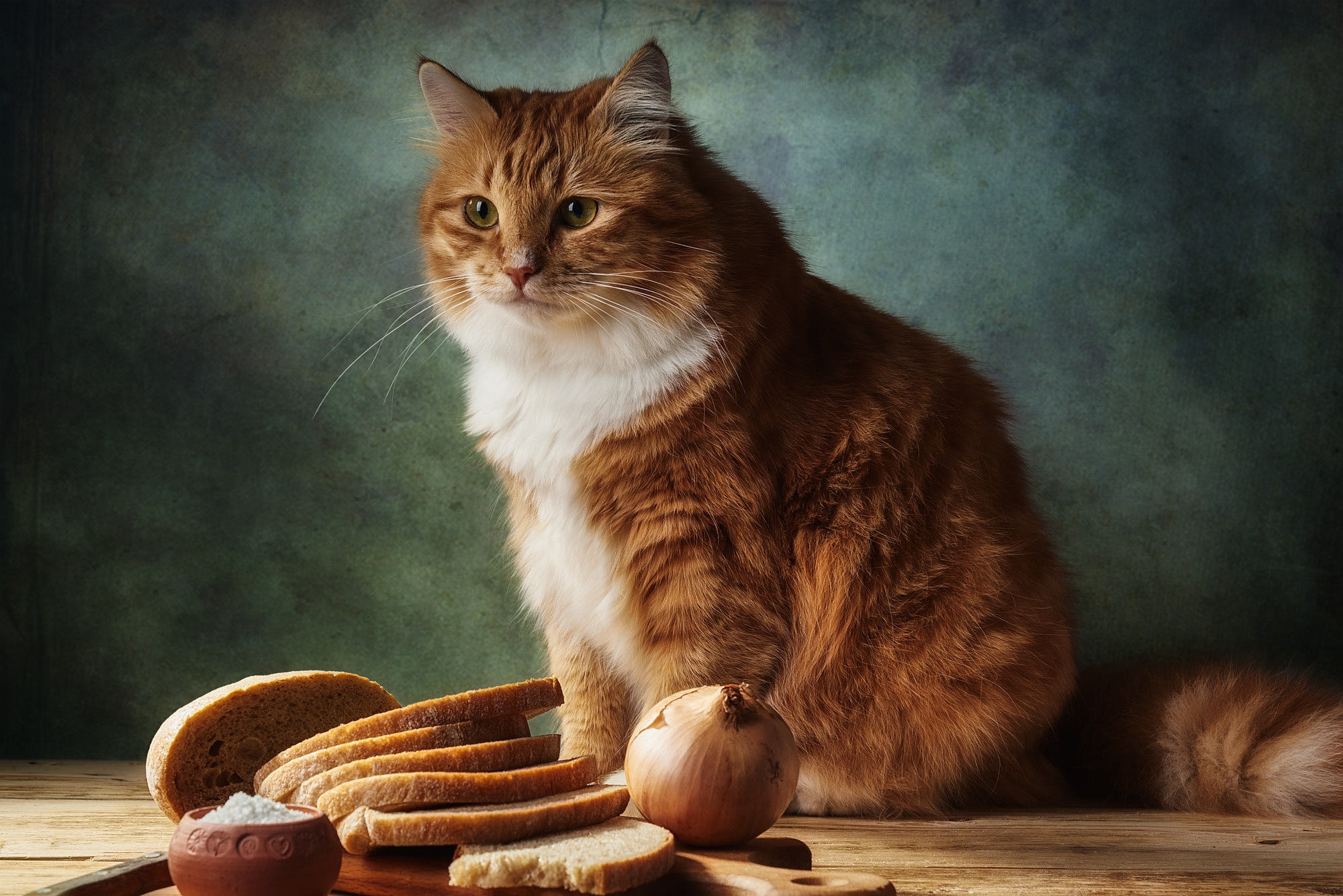 Завантажити шпалери безкоштовно Кішка, Тварина, Коти, Хліб картинка на робочий стіл ПК