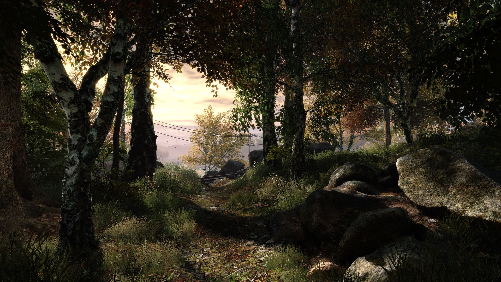 655239 télécharger l'image jeux vidéo, the vanishing of ethan carter - fonds d'écran et économiseurs d'écran gratuits