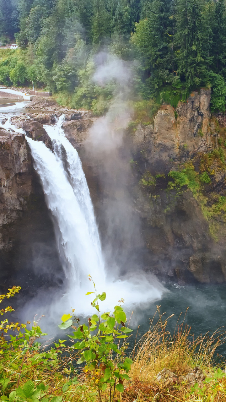 Handy-Wallpaper Wasserfälle, Wasserfall, Wald, Baum, Erde, Erde/natur kostenlos herunterladen.