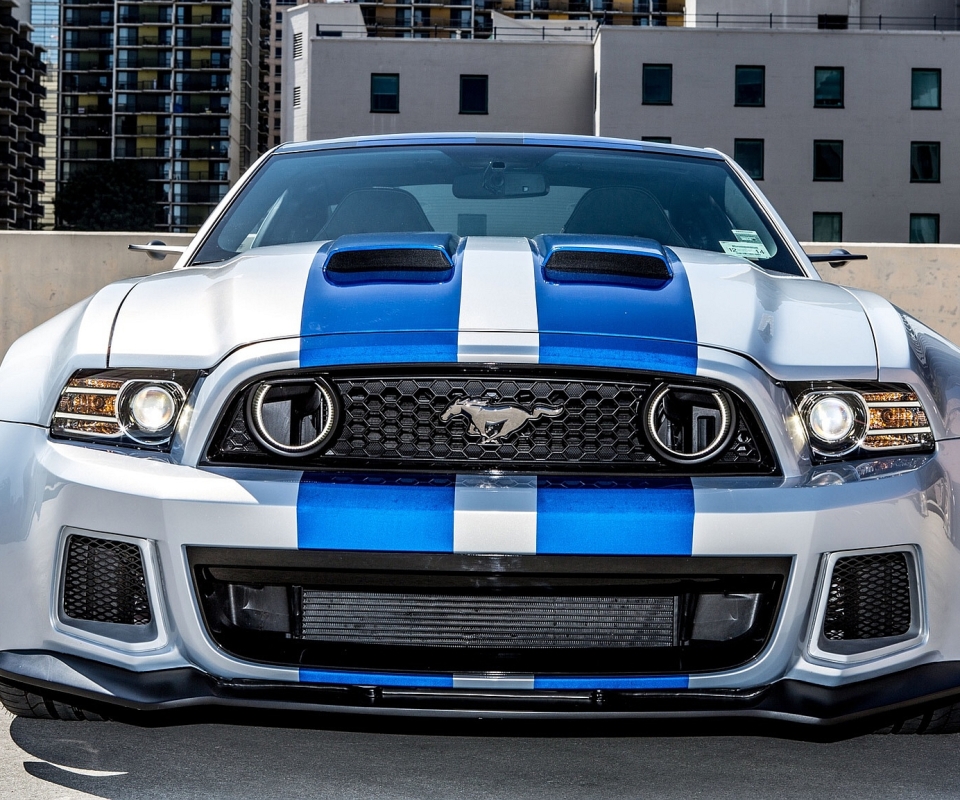 Free Images  Ford Mustang