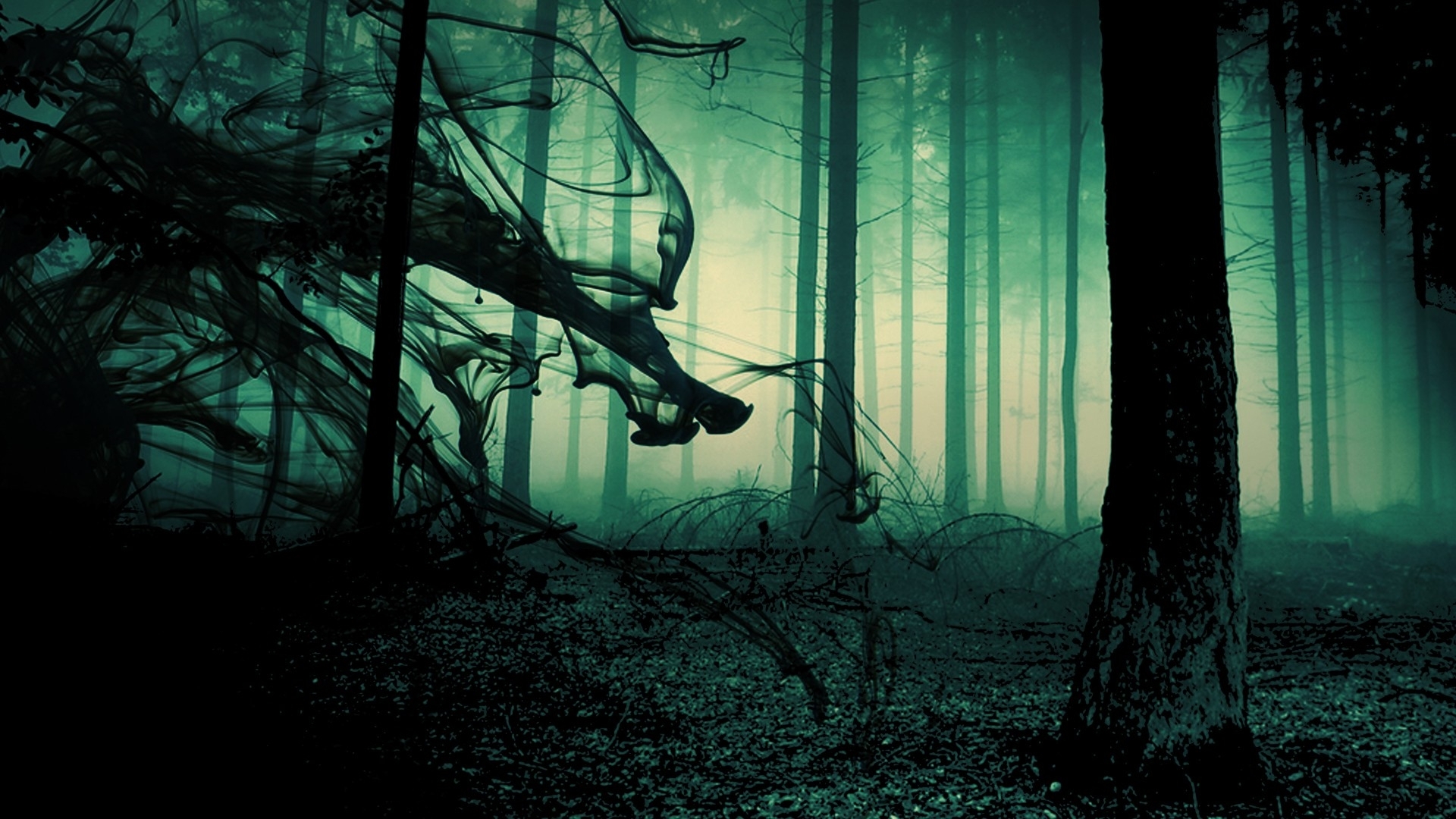 Free download wallpaper Dark, Forest on your PC desktop